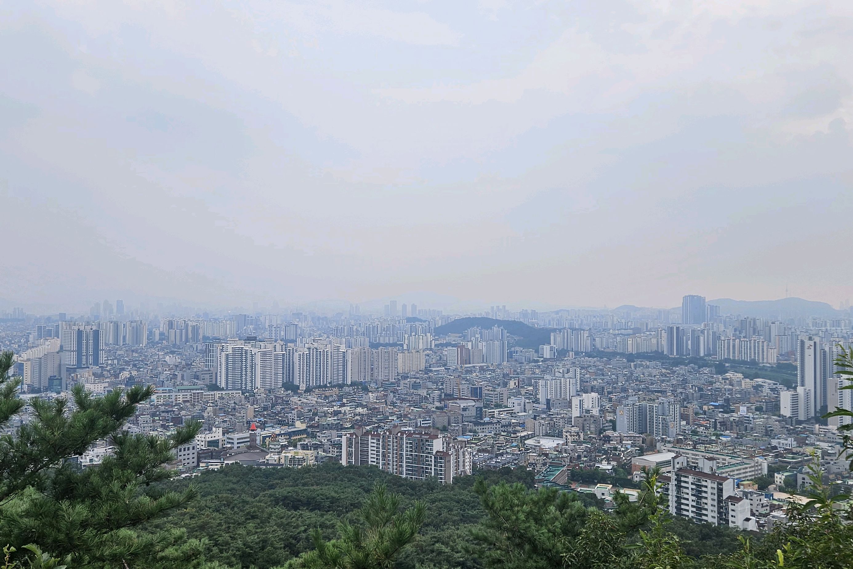 봉화산 사진 5