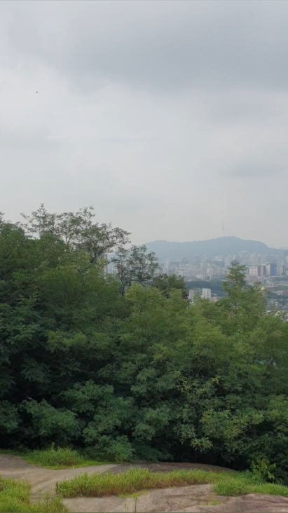 하늘한마당 사진 3