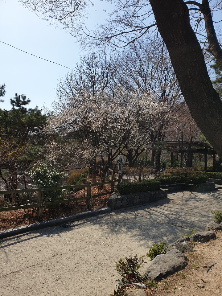 성북역사문화공원 사진 1