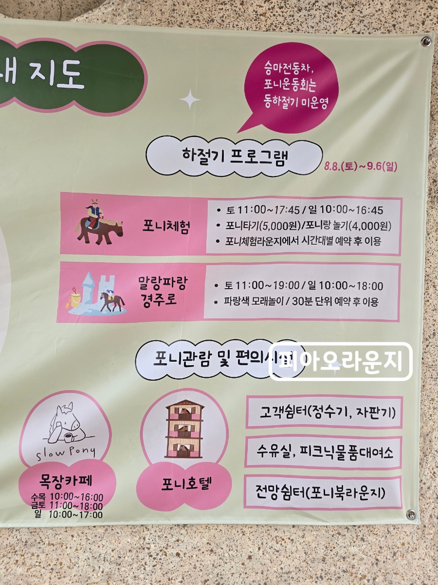 렛츠런파크 서울포니랜드 사진 4