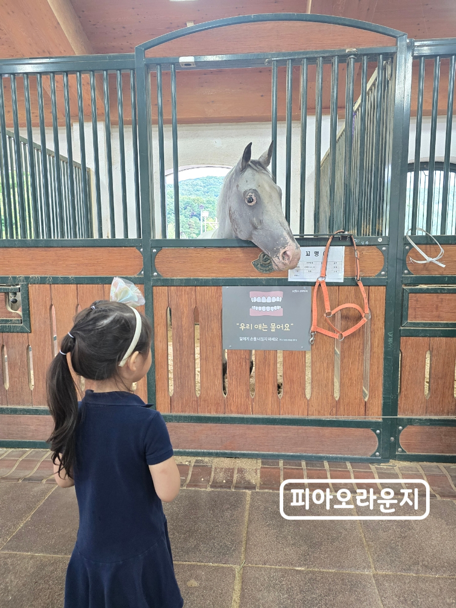 렛츠런파크 서울포니랜드 사진 5