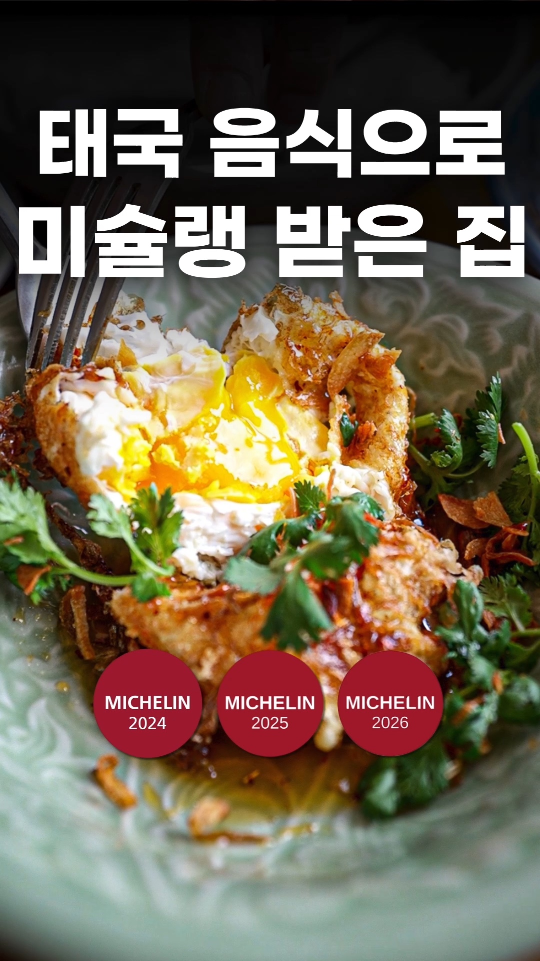 호라파 사진 2