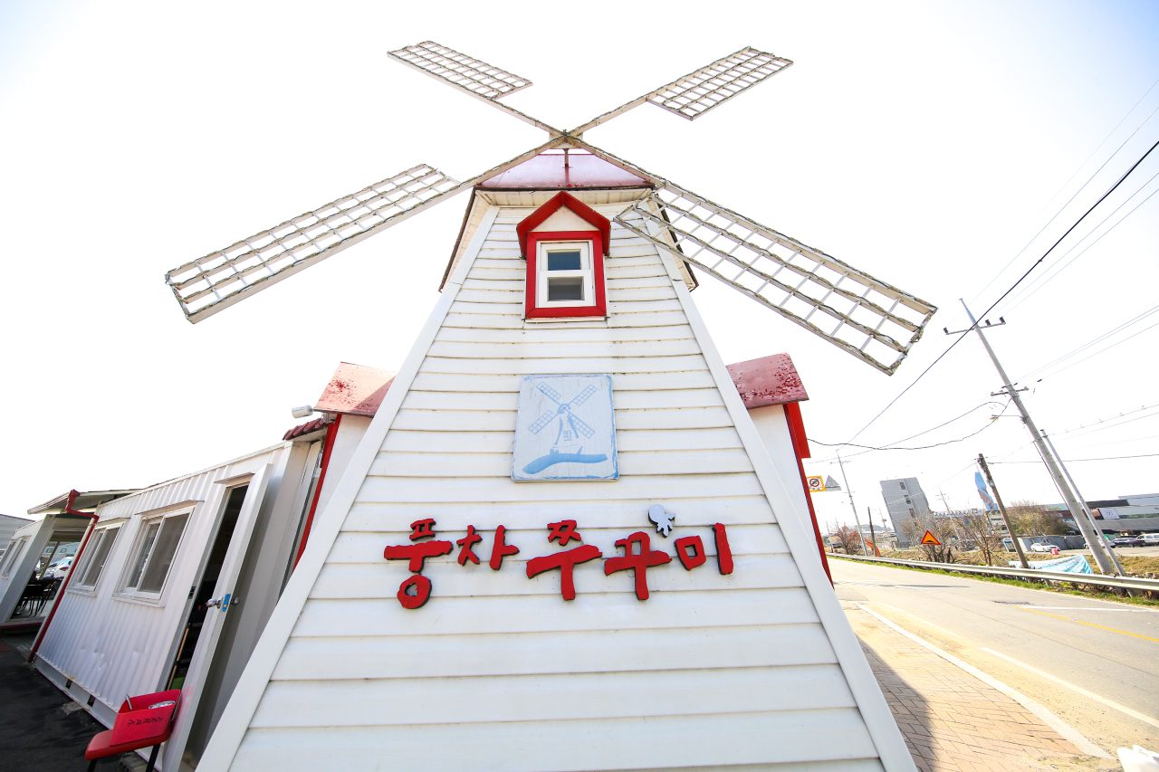 풍차쭈꾸미 사진