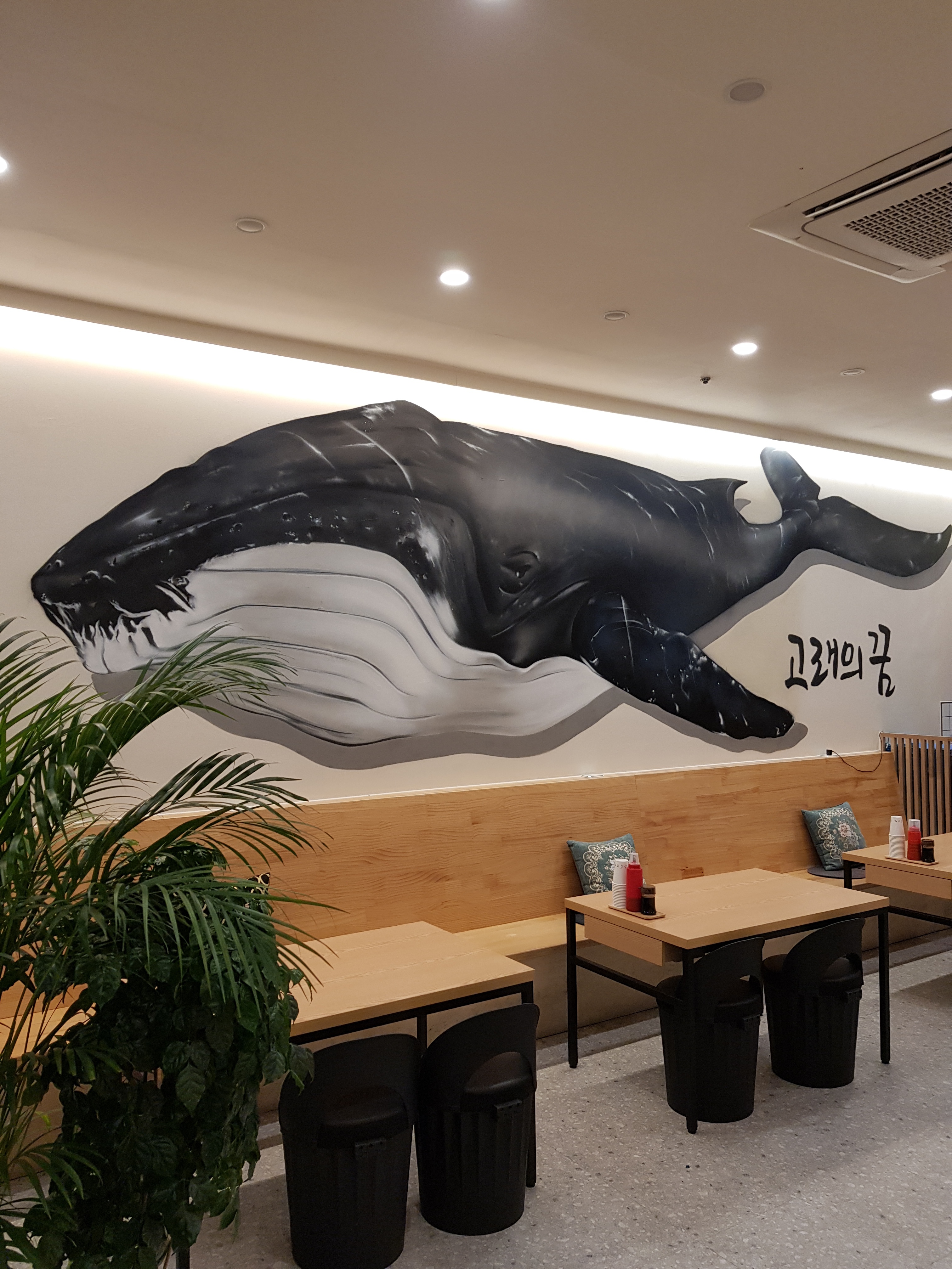 고래의 꿈 사진 1