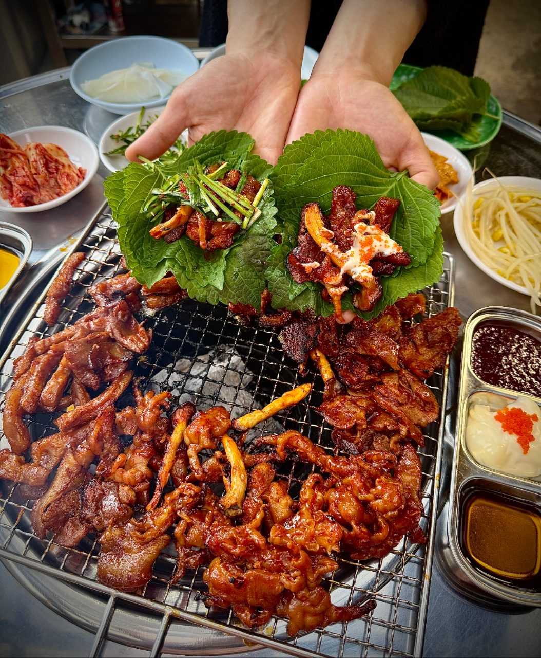 용호불낙 사진