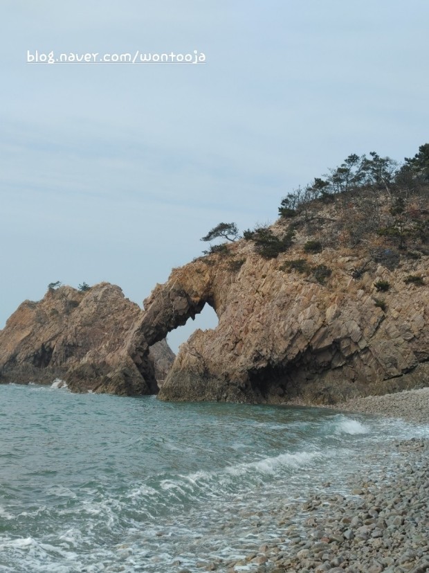 황금산 코끼리바위 사진