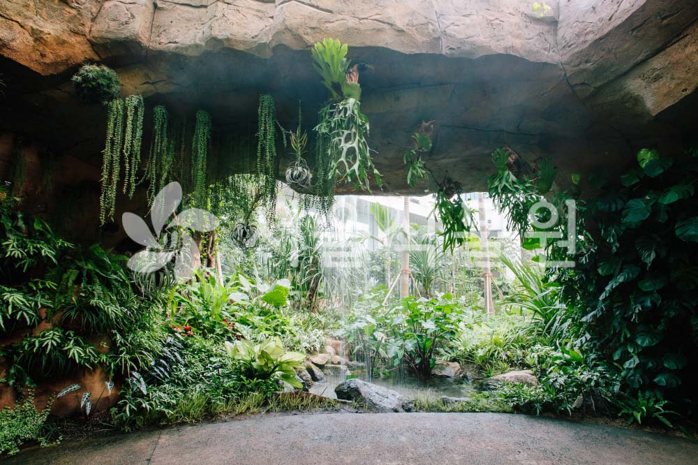 서울식물원 사진 3