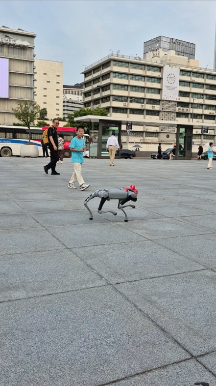 세종로공원 사진 3
