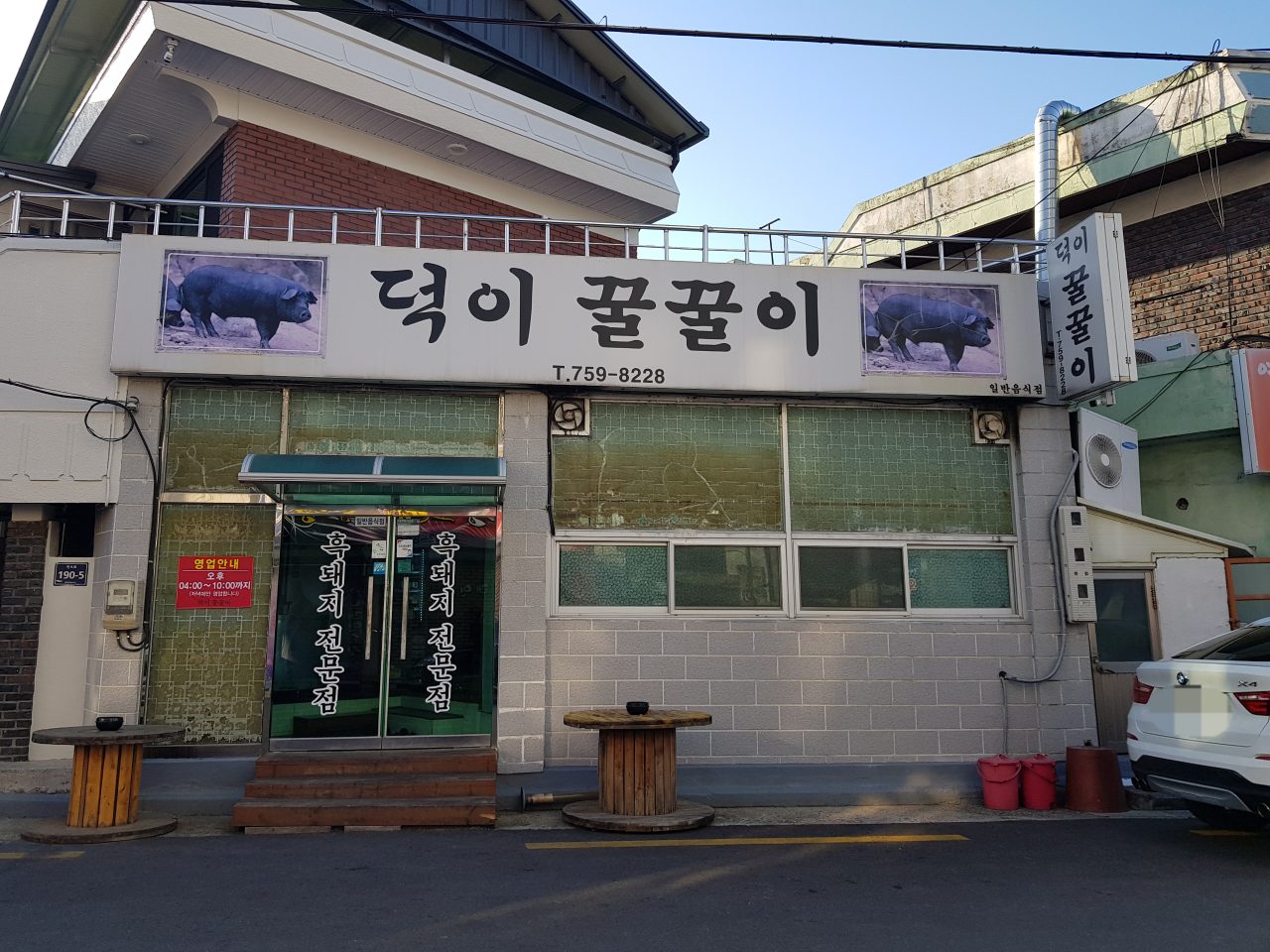 덕이꿀꿀이 사진