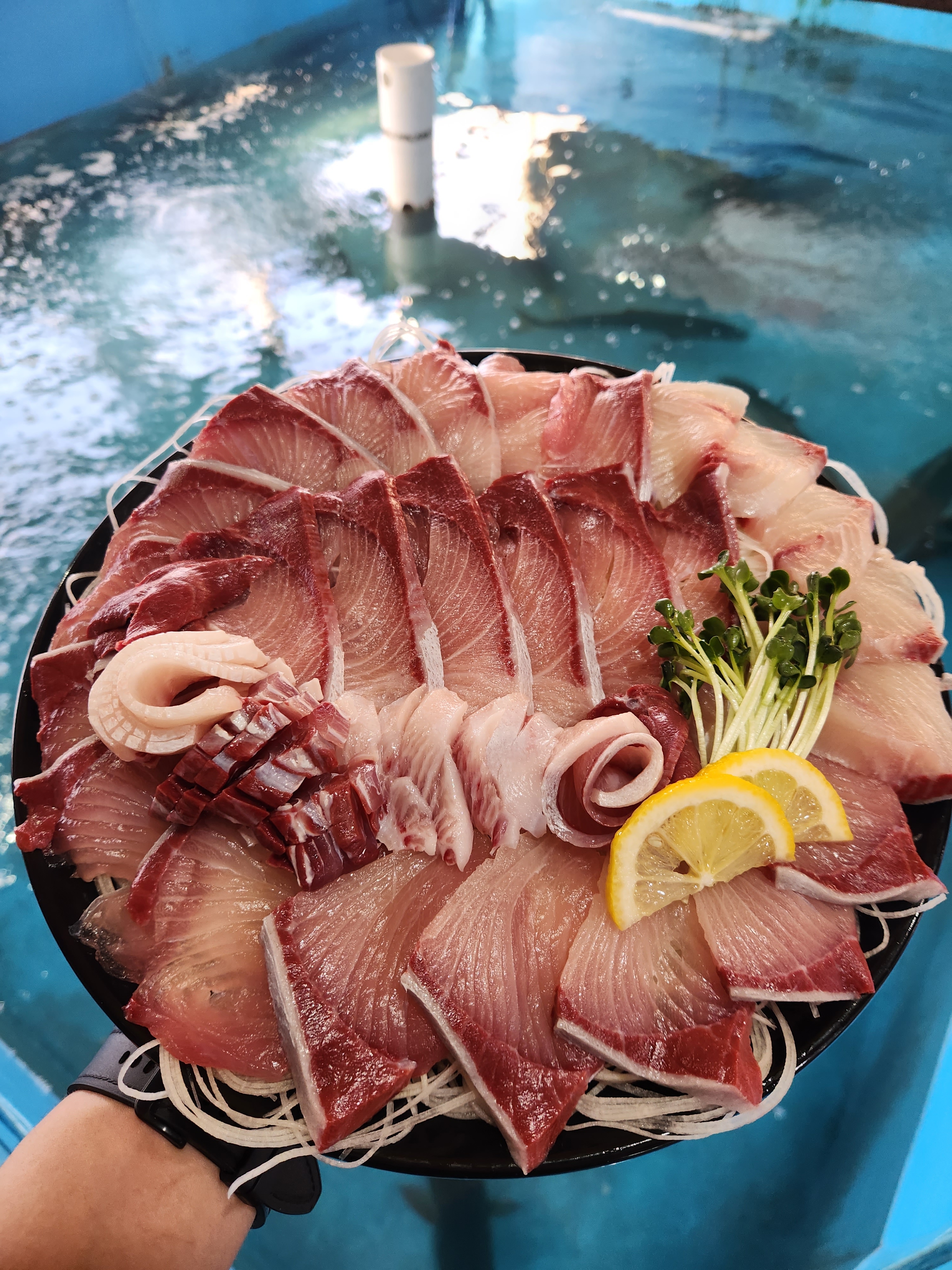 모슬포수산식당 사진 1