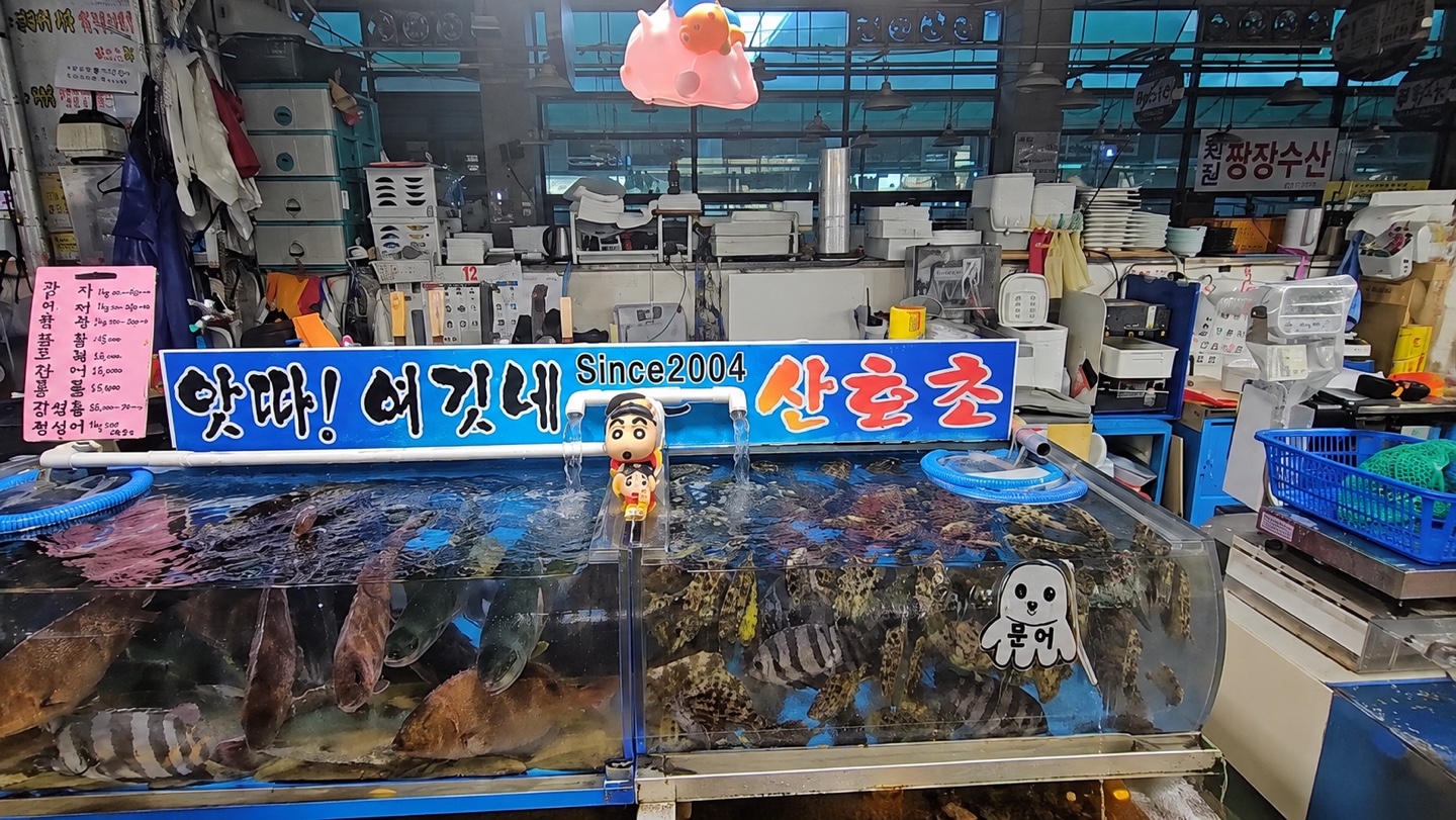 산호초 사진