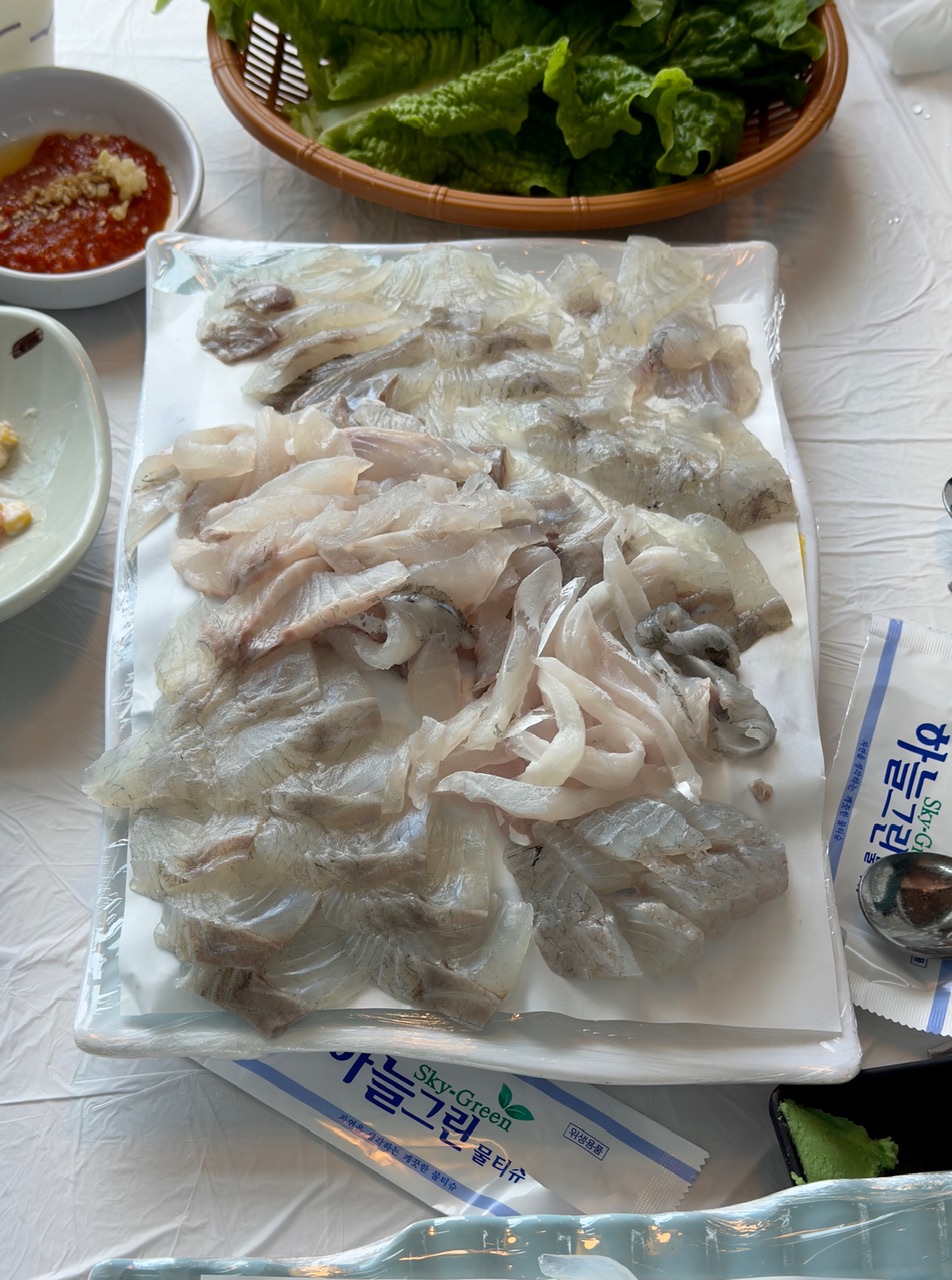 산호초 사진 4