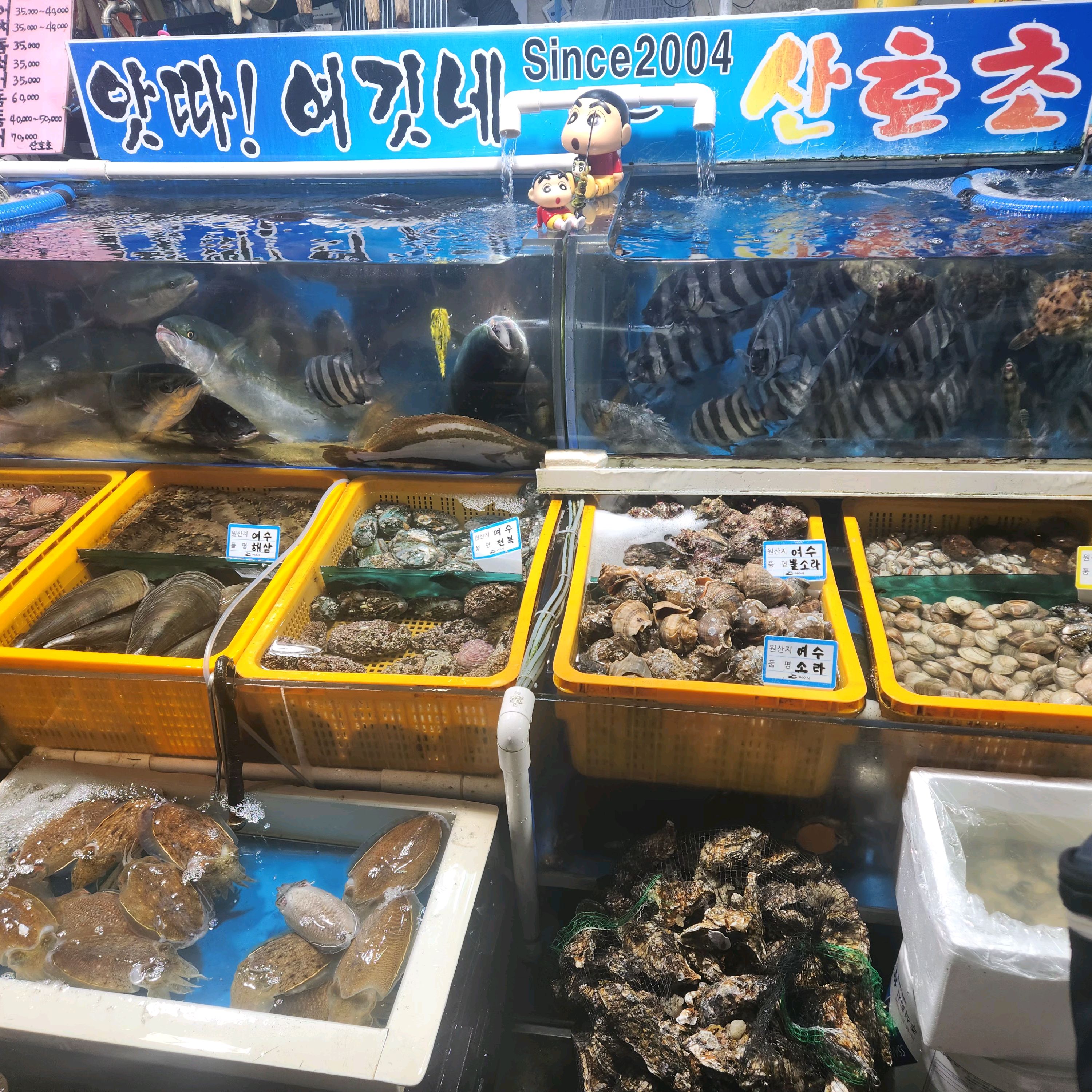 산호초 사진 5