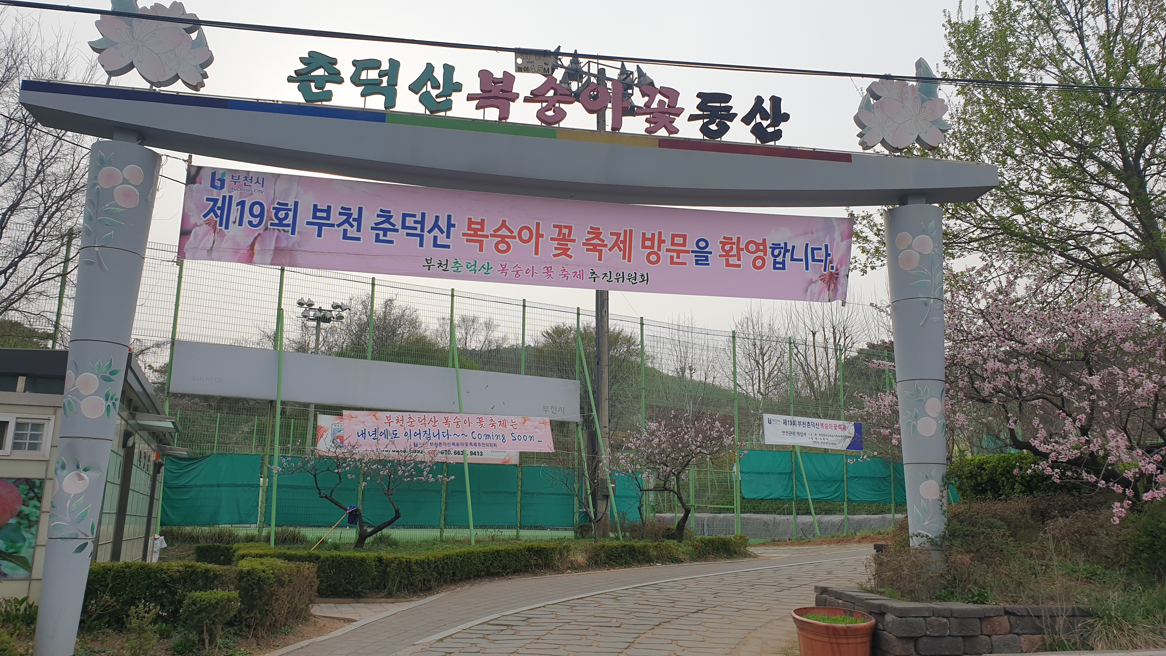 춘덕산복숭아꽃동산 사진