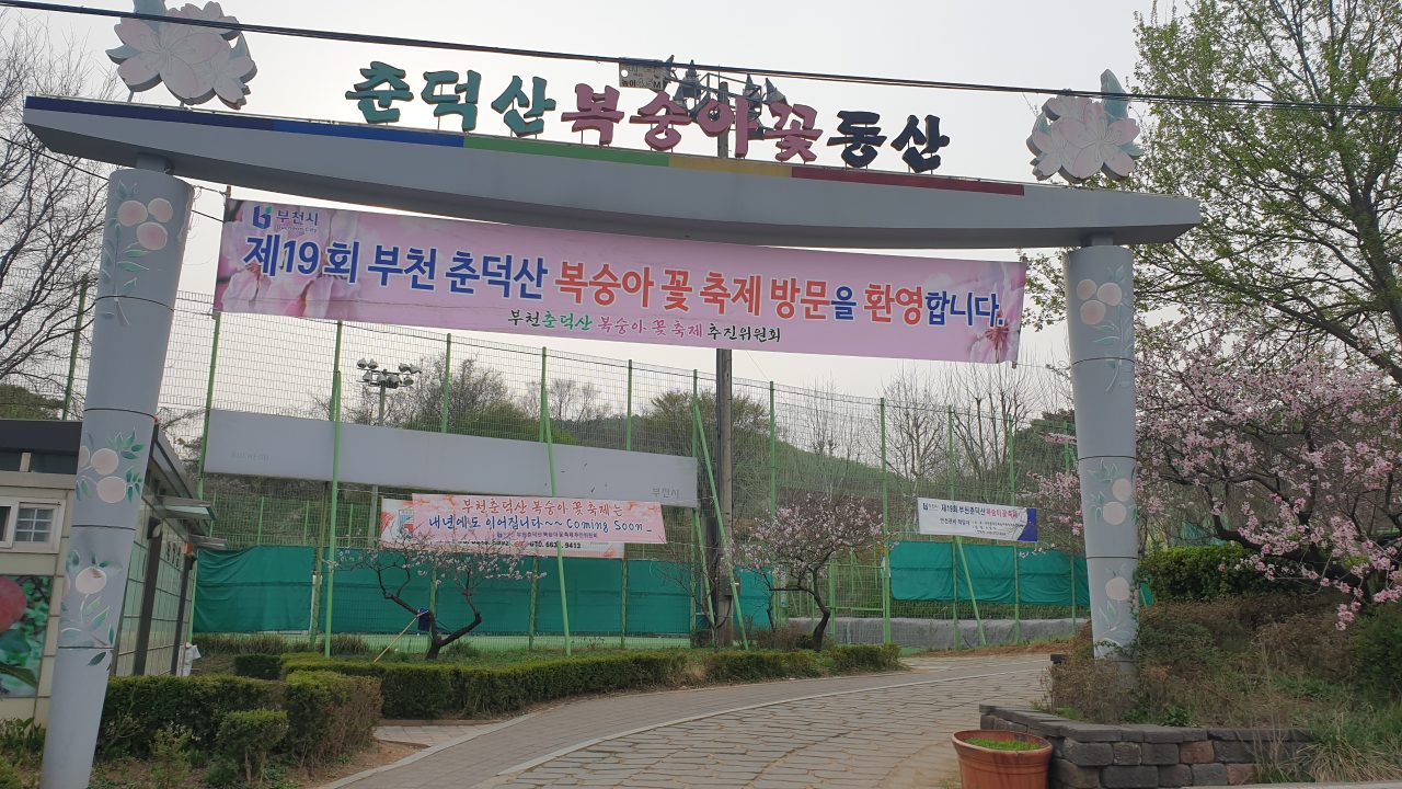 춘덕산복숭아꽃동산 사진