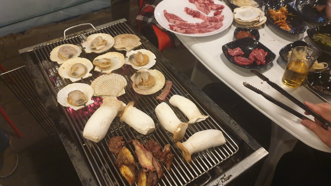 천년소나무 사진