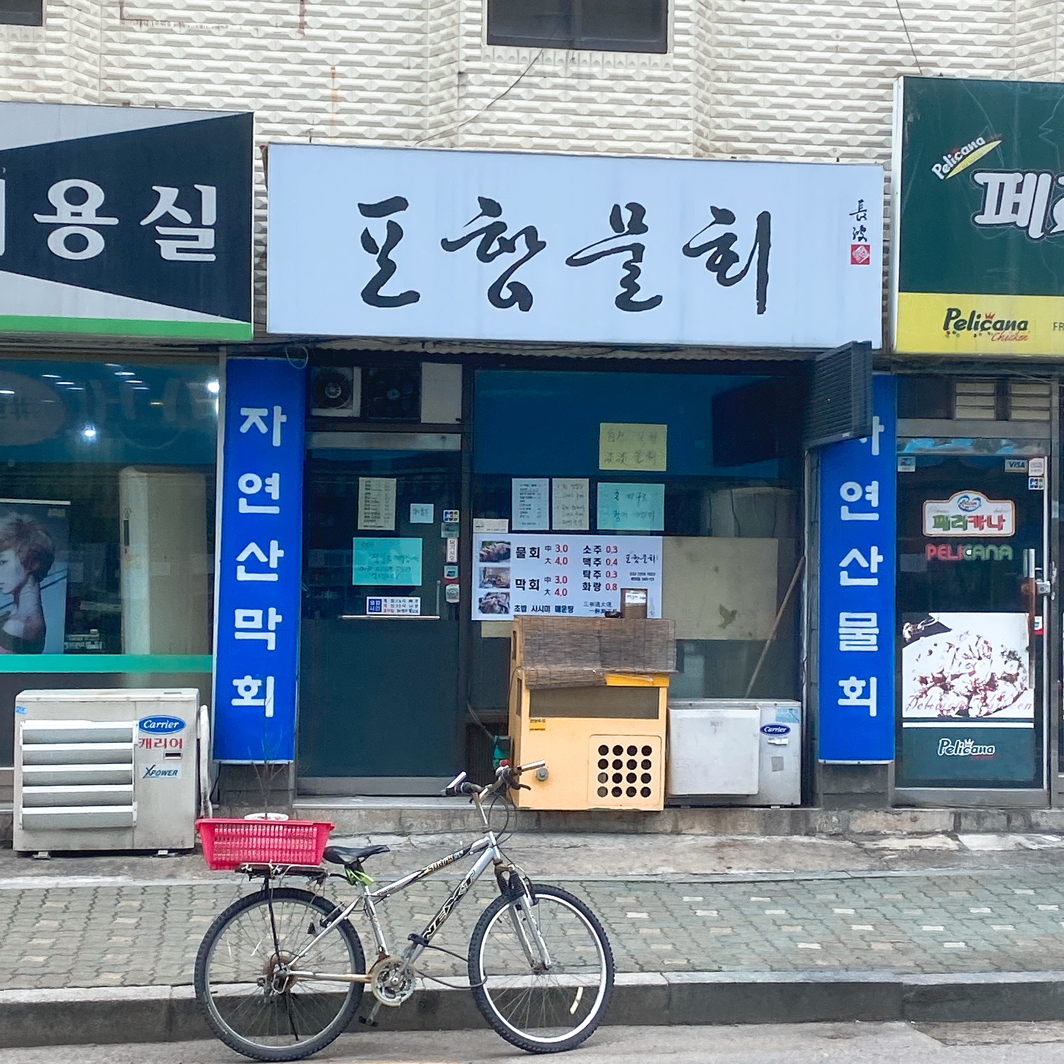 포항물회 사진 2