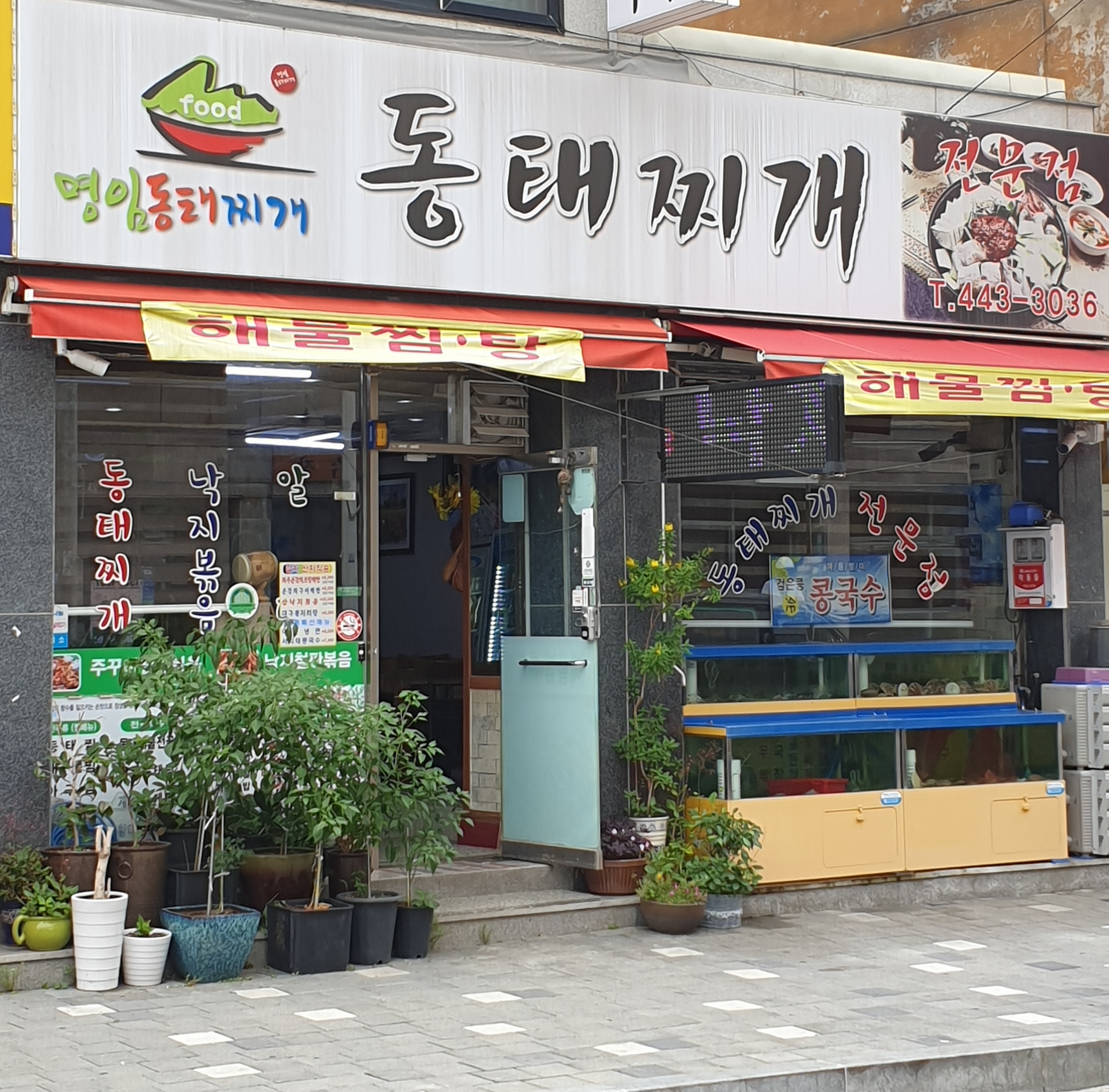 명임동태찌개 사진 3