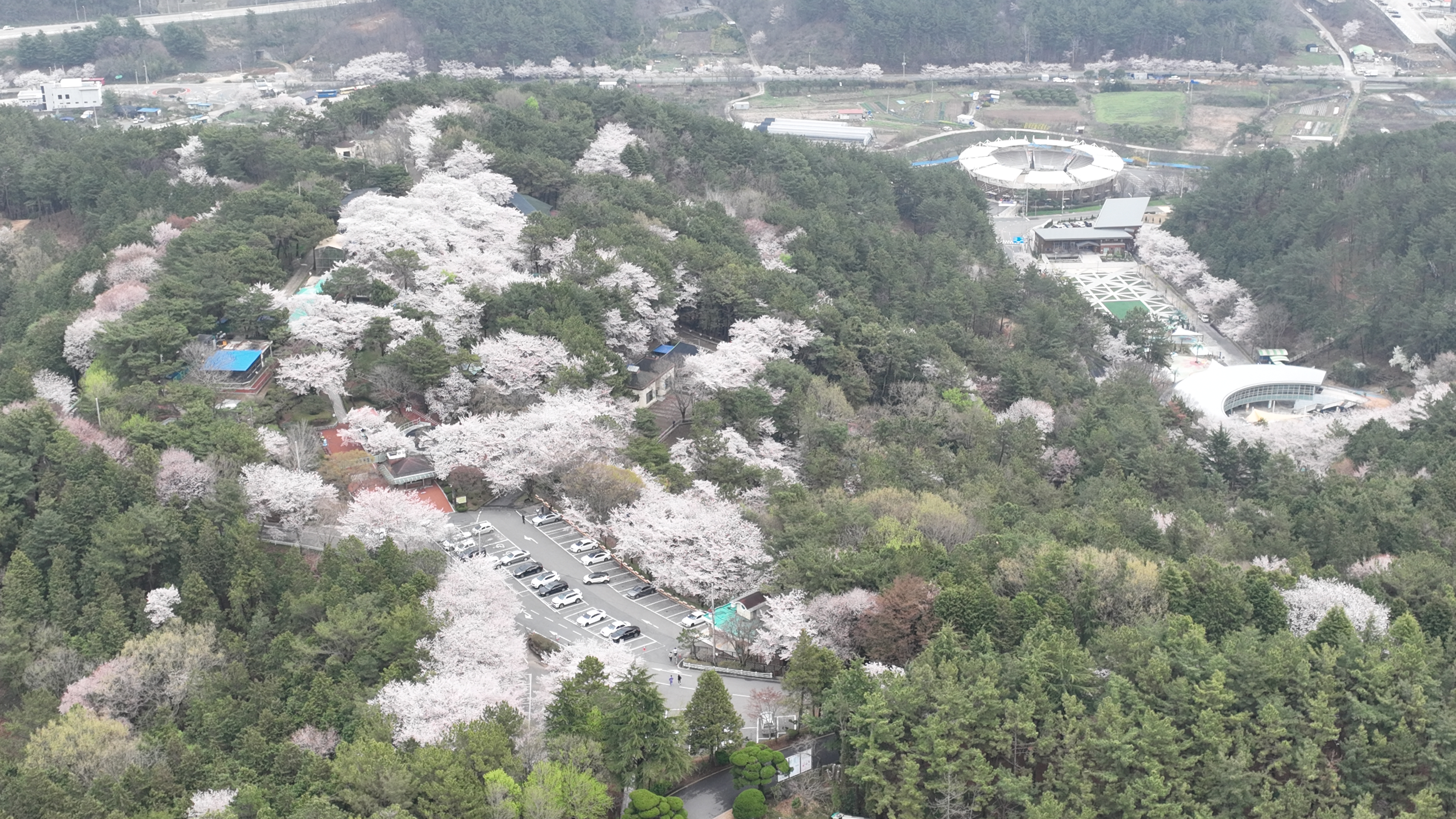 진양호공원 사진 3