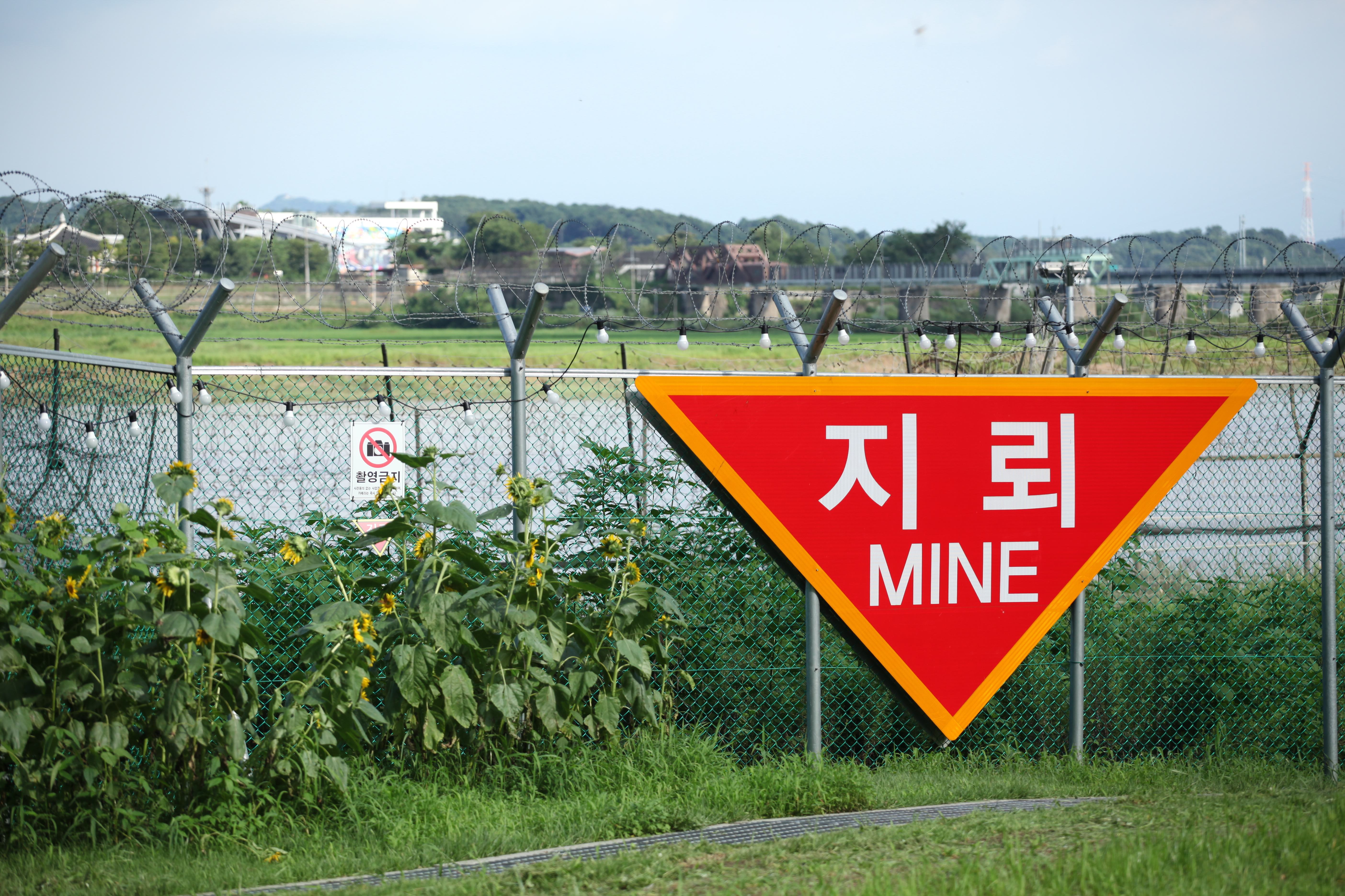 파주 임진각 평화 곤돌라 사진 5