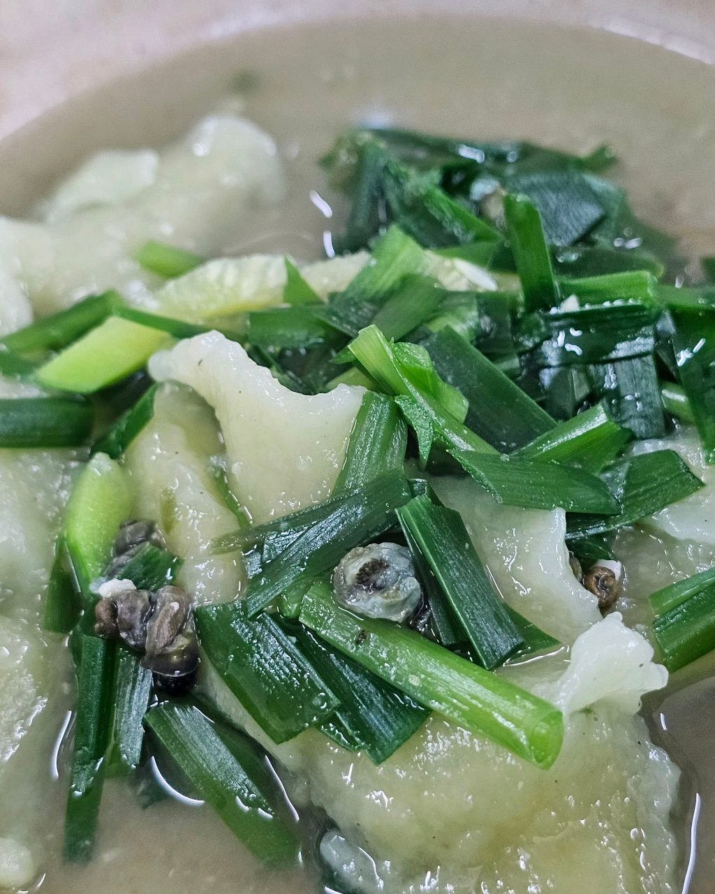 강촌다슬기 사진