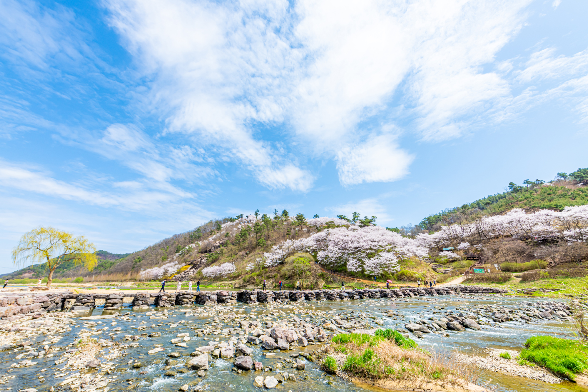 진천농다리 사진 1