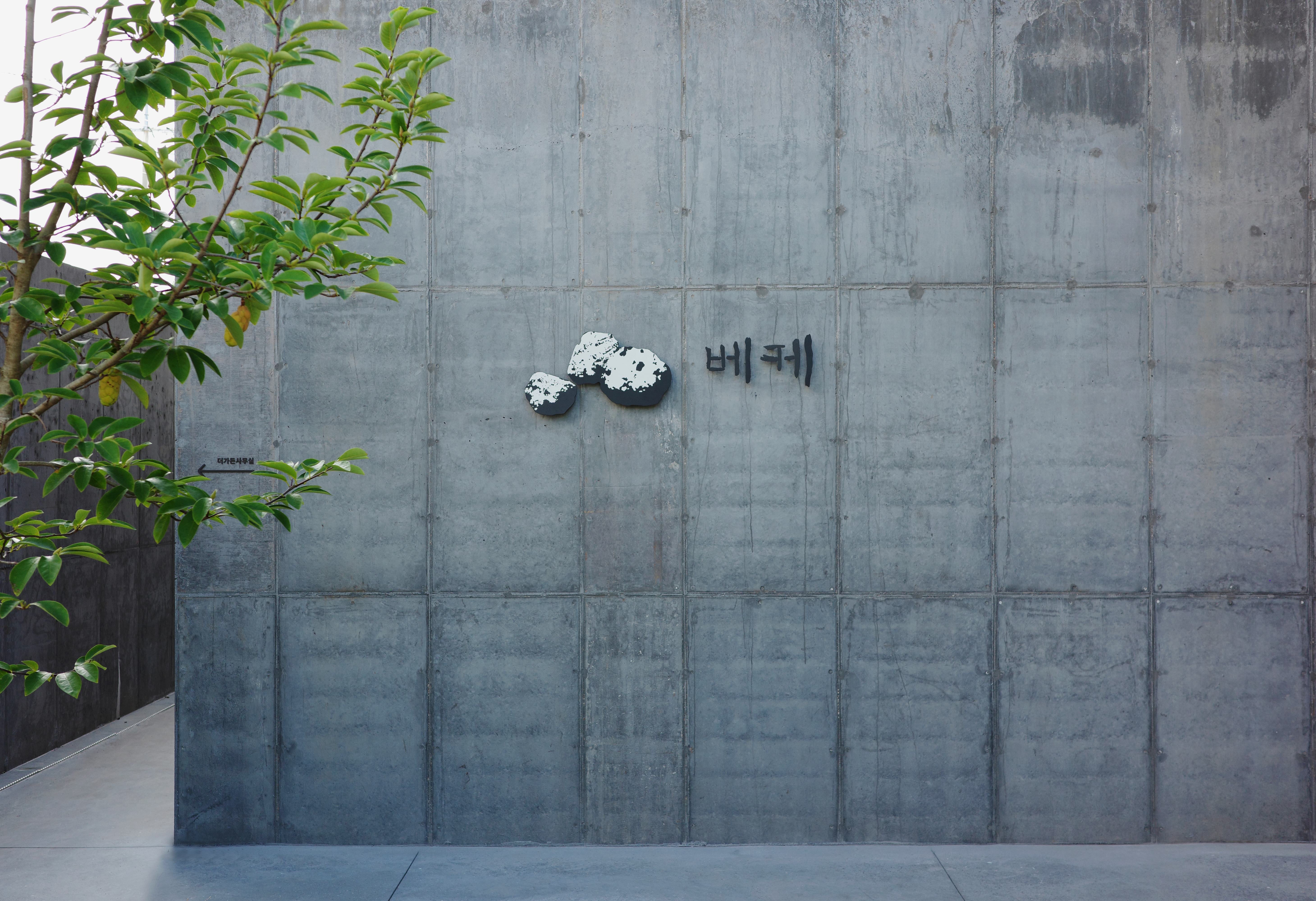 베케 사진 2