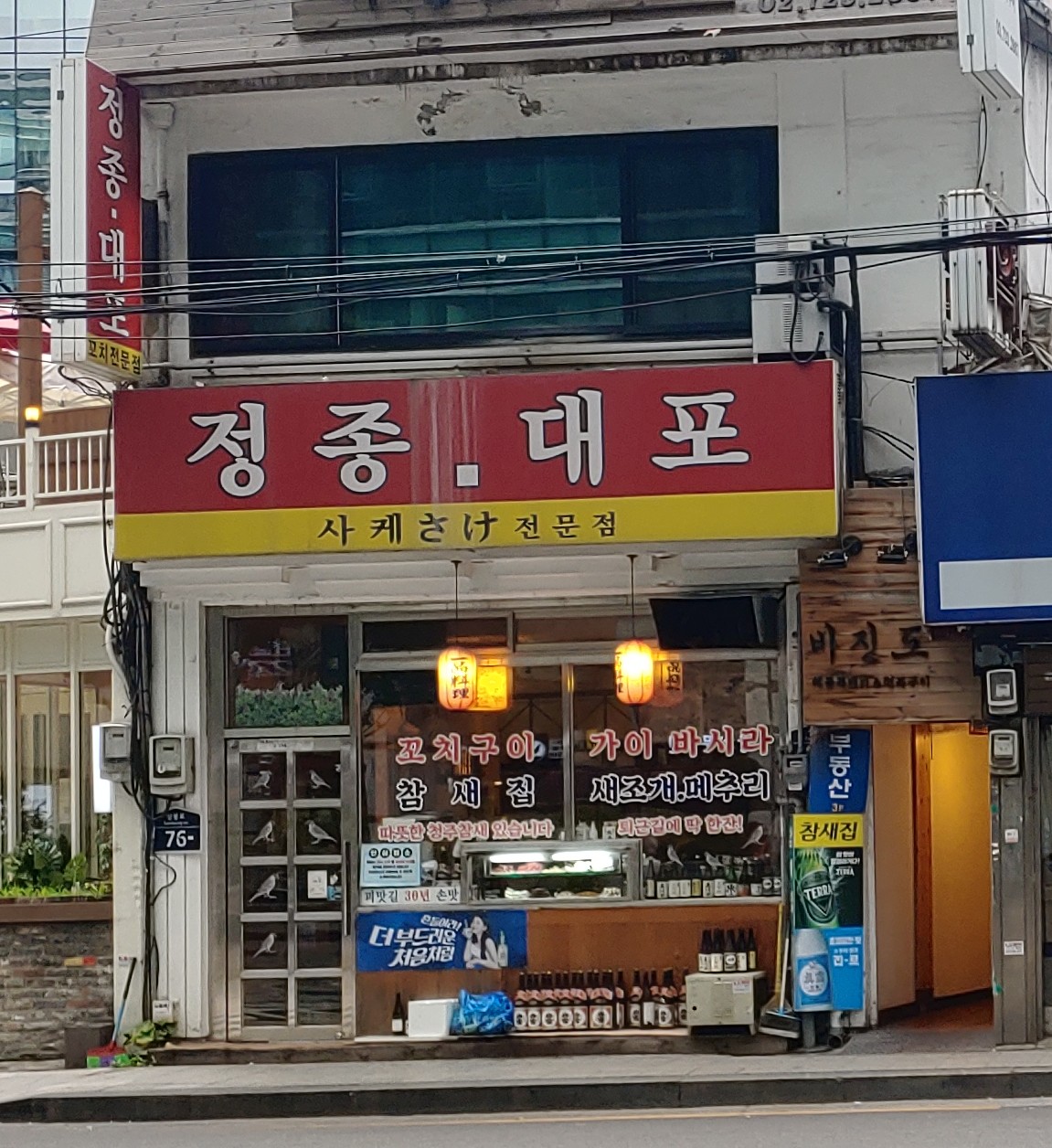 참새집 사진 2