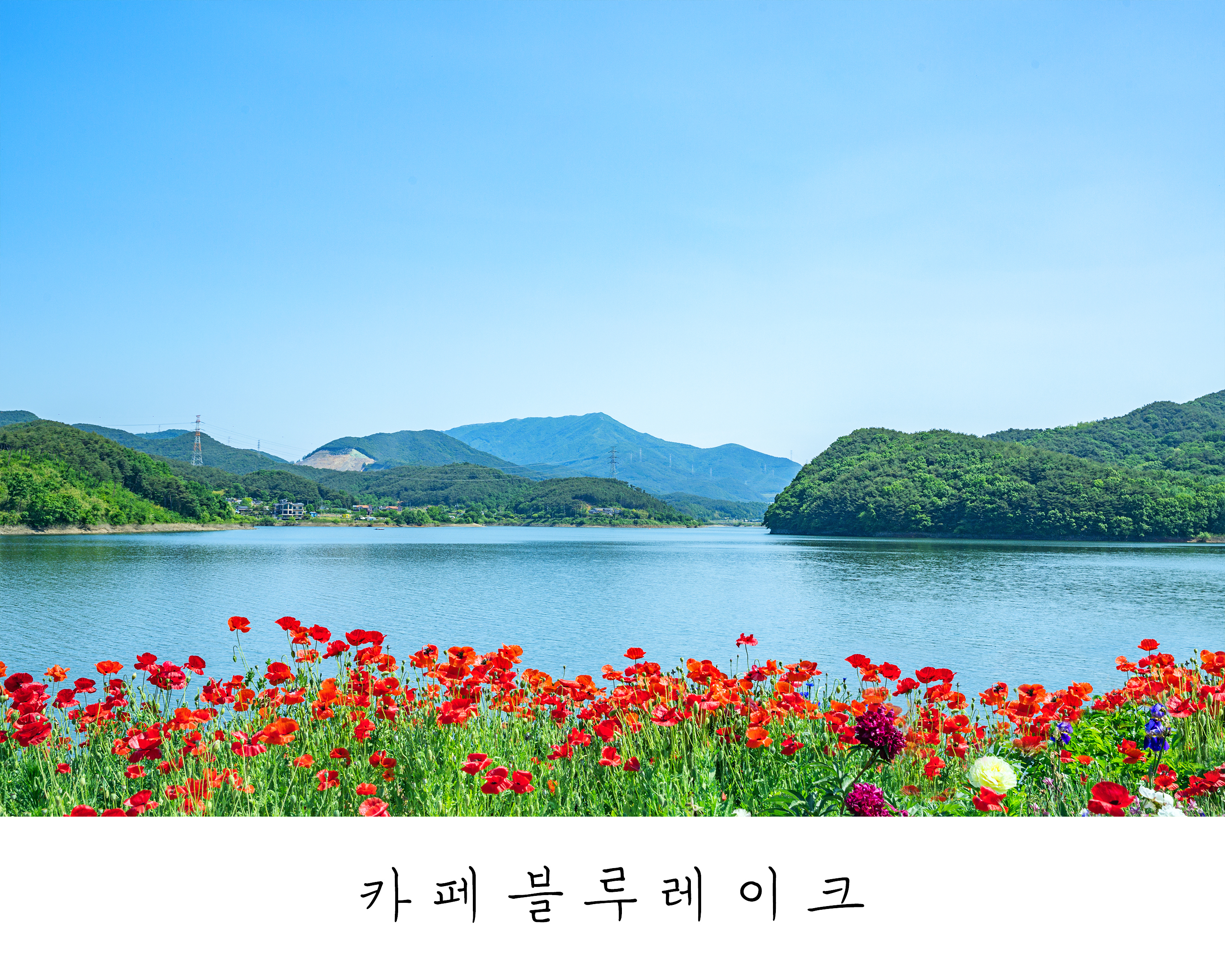 카페 블루레이크 사진 5