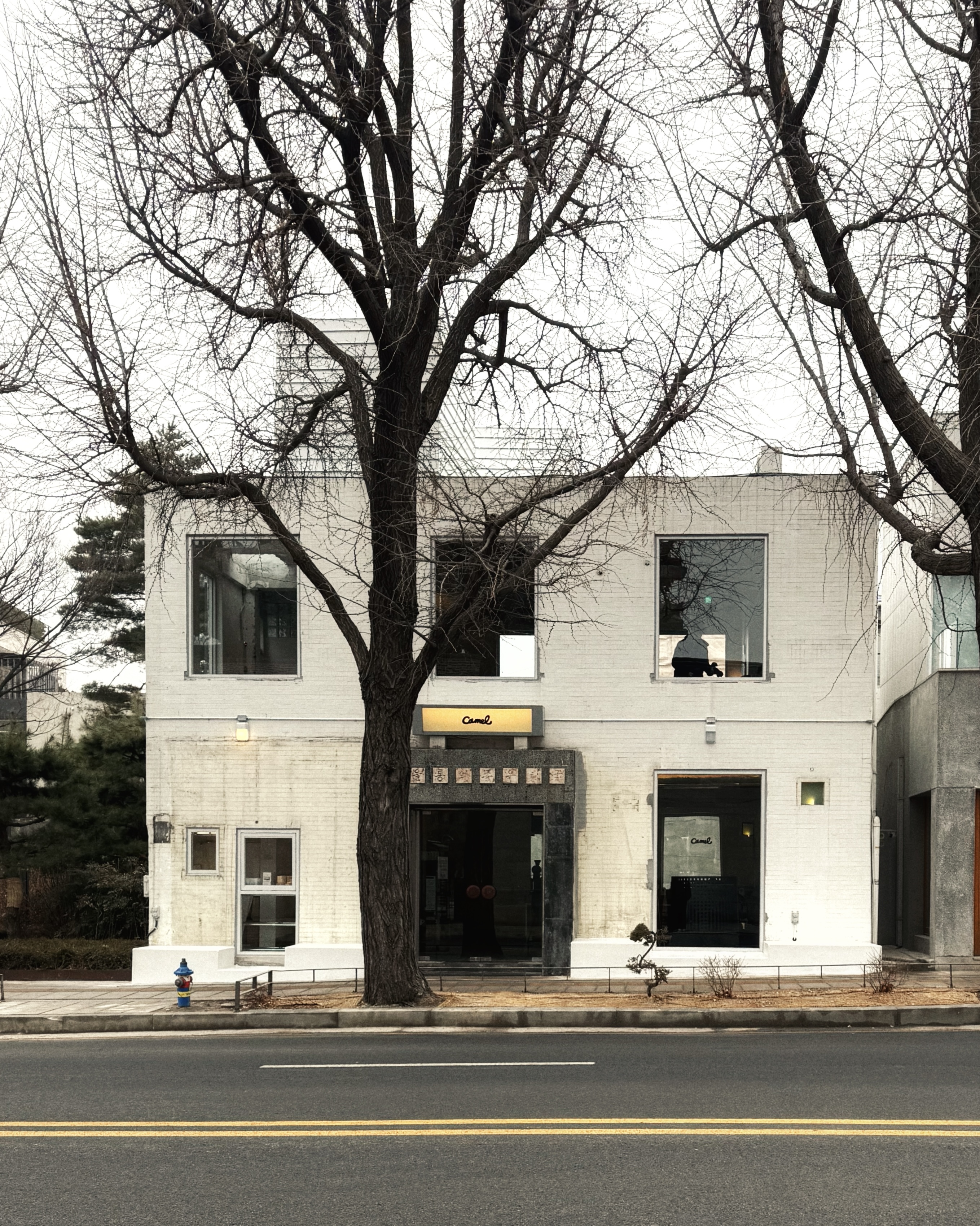 카멜커피 서촌점 사진 1