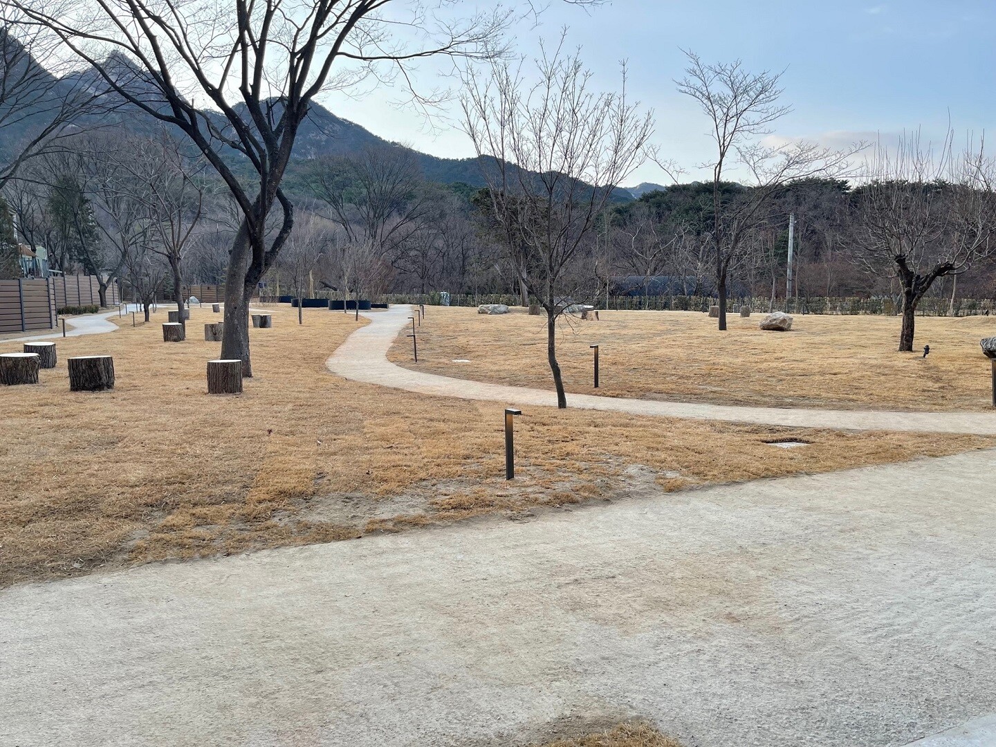 스타벅스 더북한산점 사진 3