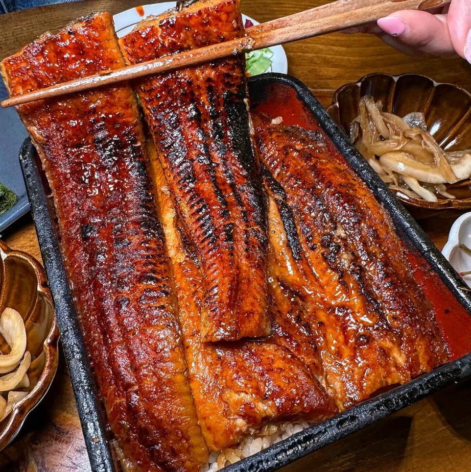 타마 사진 1
