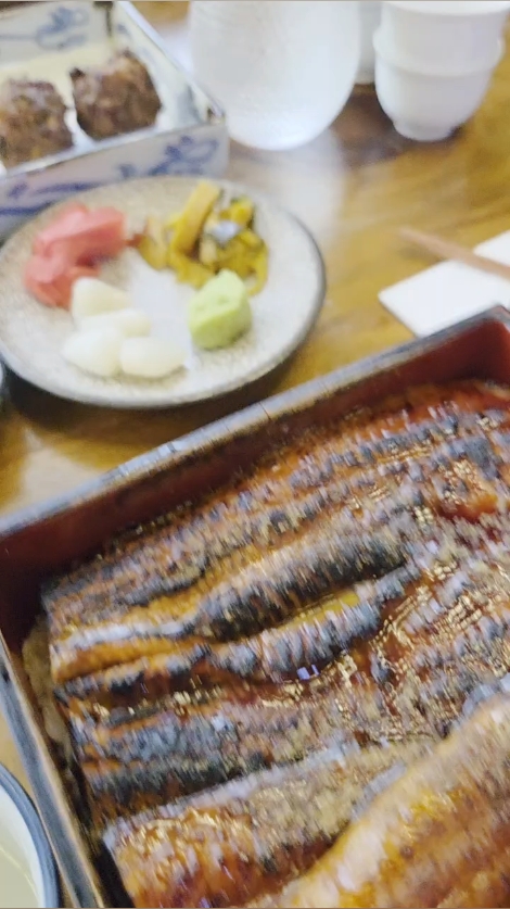 타마 사진 2