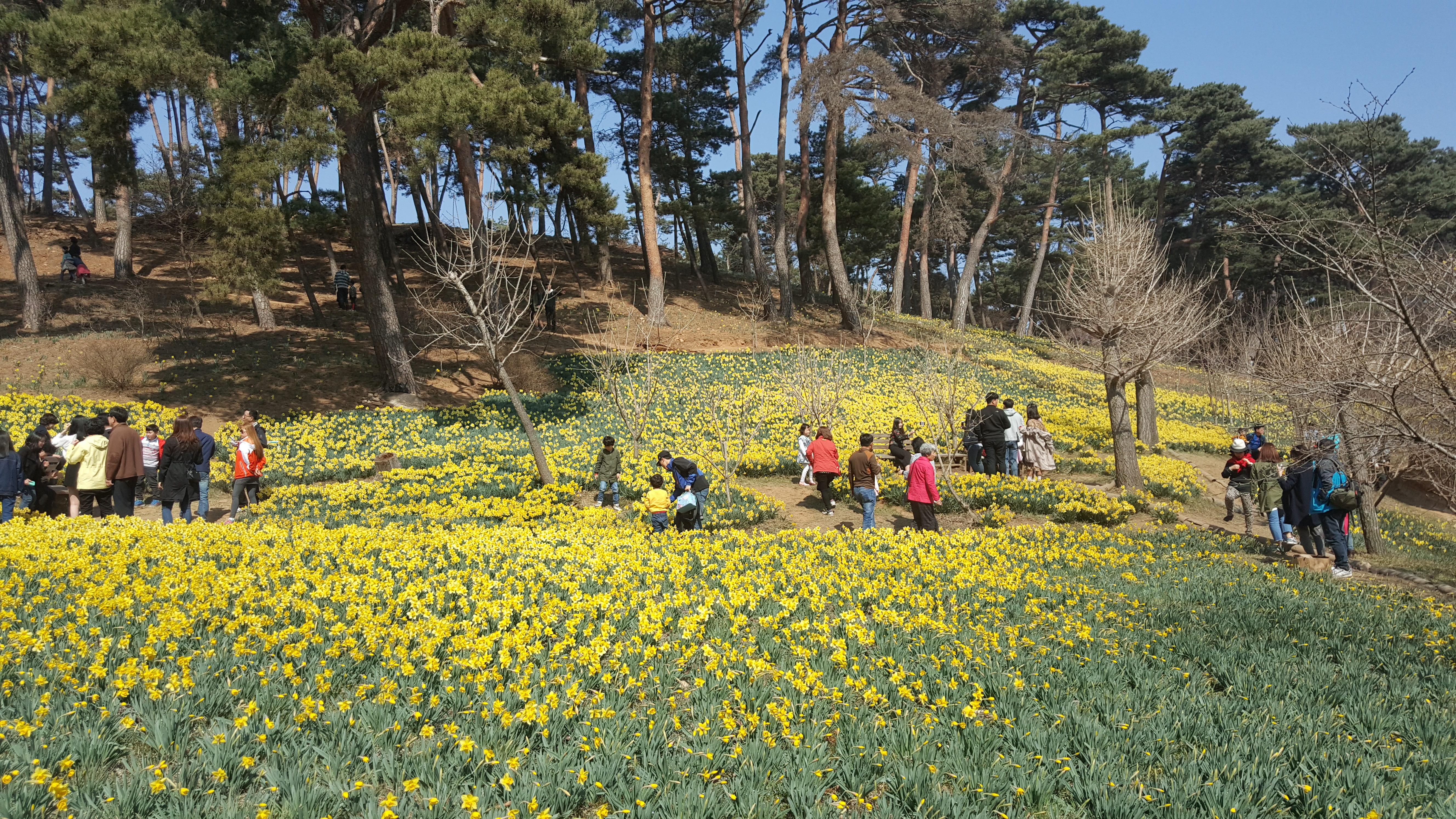 서산유기방가옥 사진 2