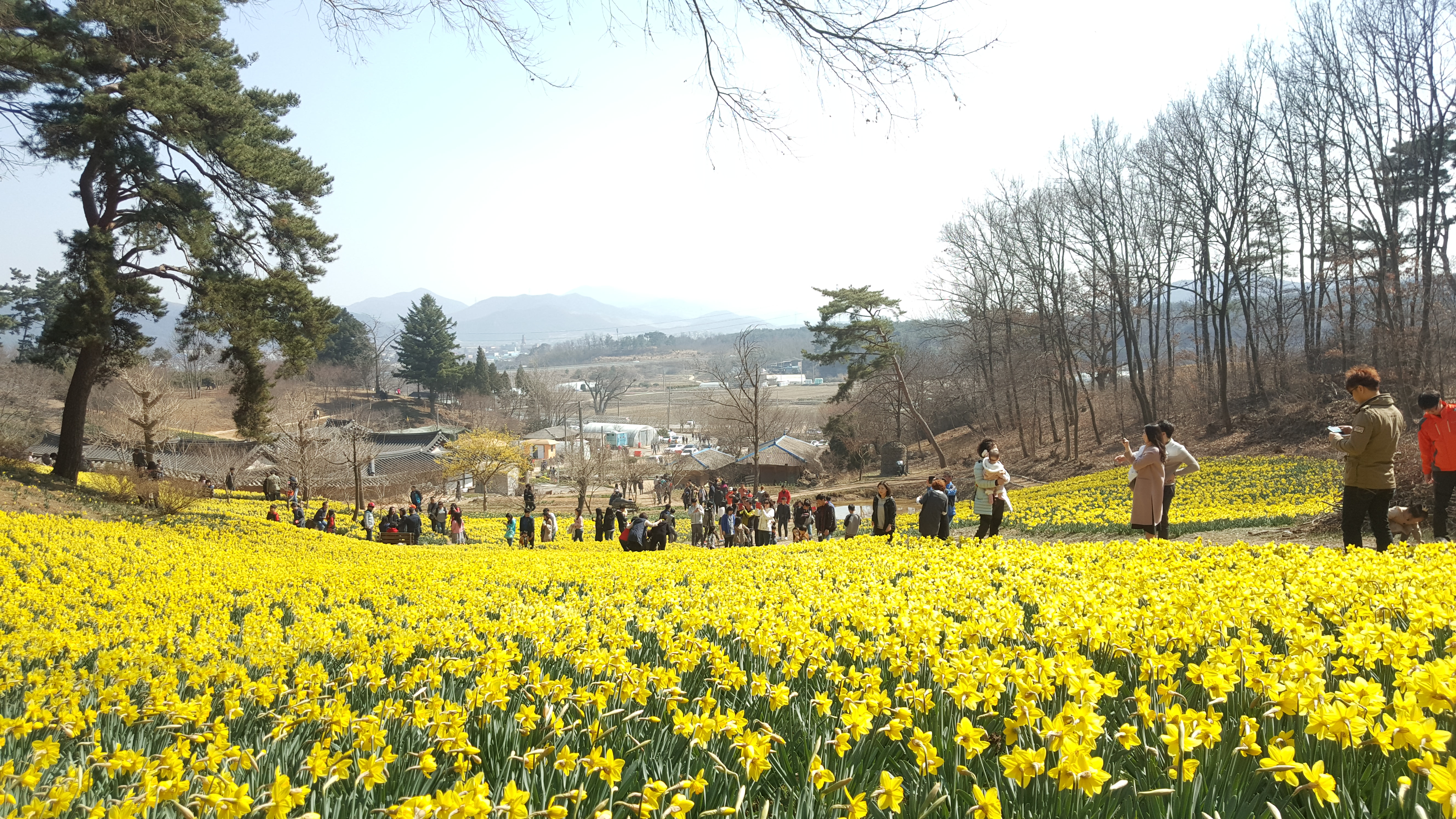 서산유기방가옥 사진 3