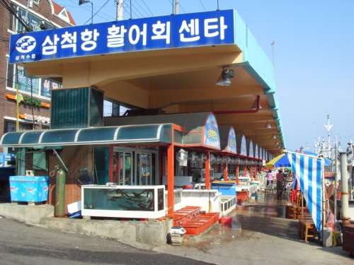 정라항활어회센터 사진 1