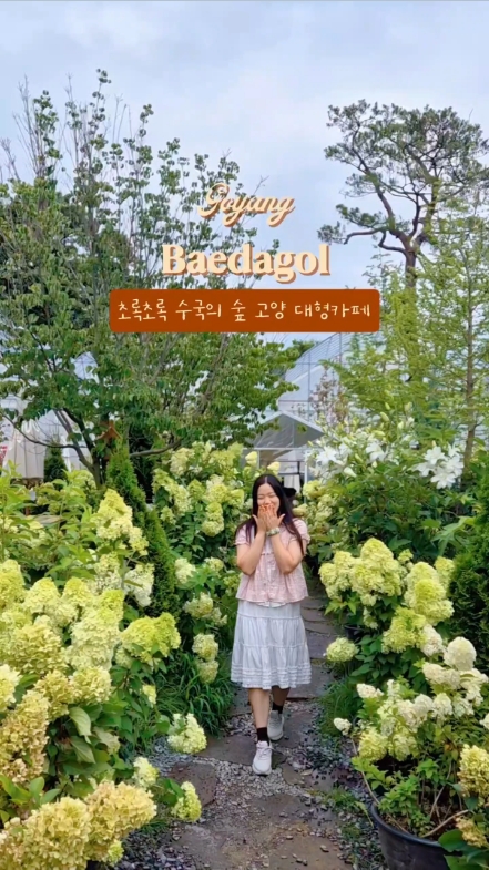 배다골베이커리포레 사진 2