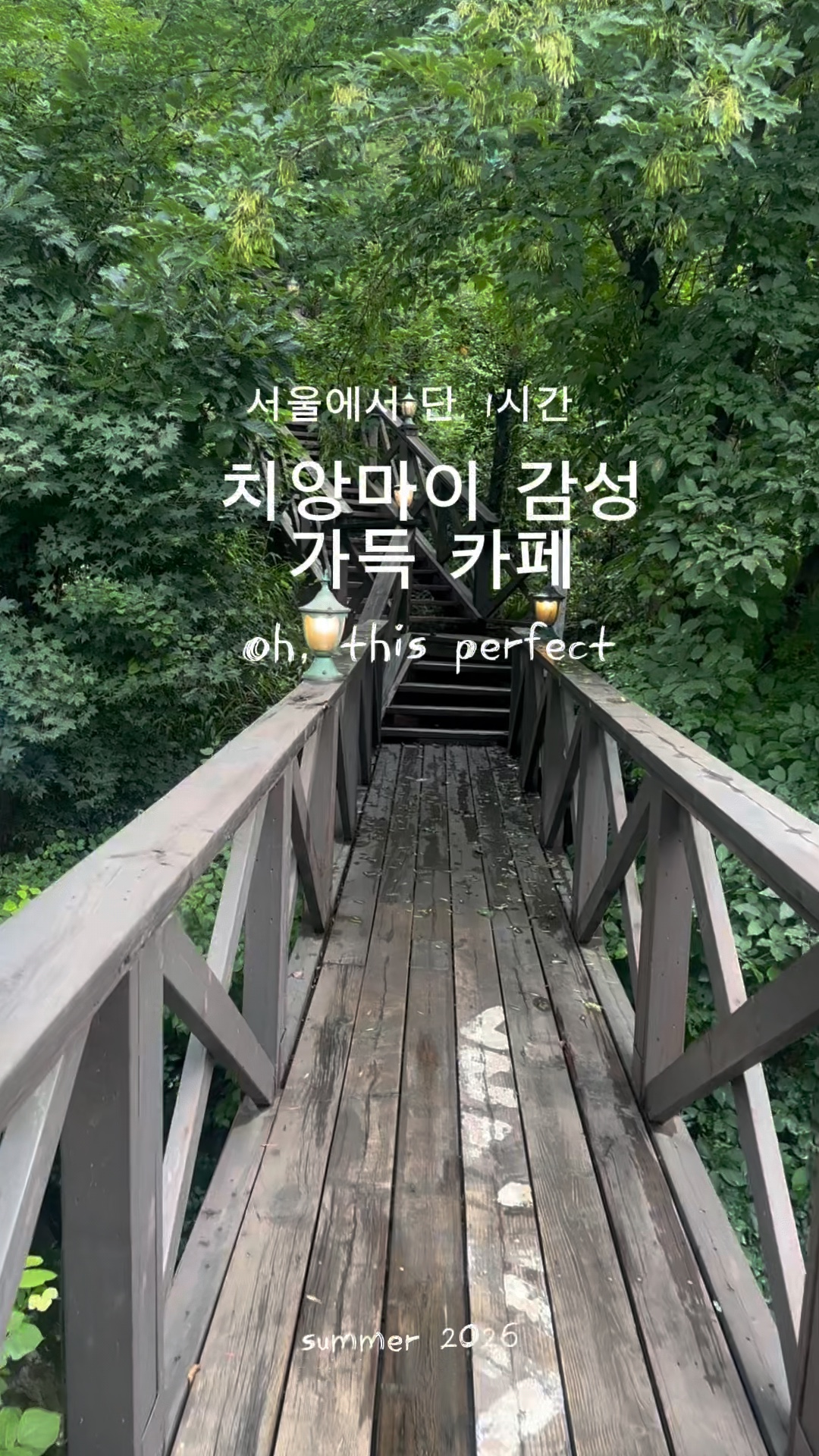 릴리 사진 2