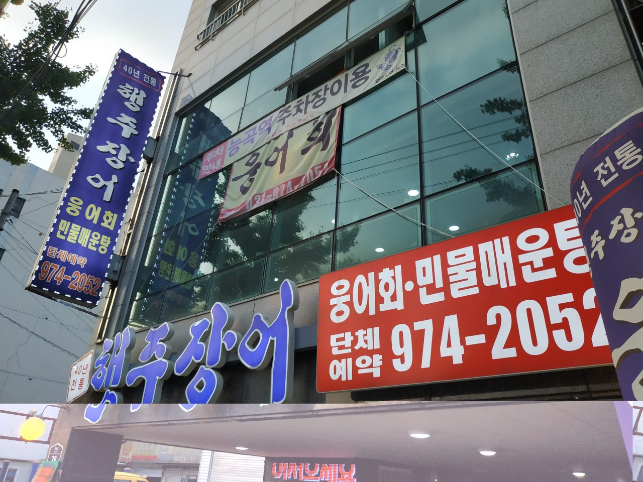 행주장어웅어 사진