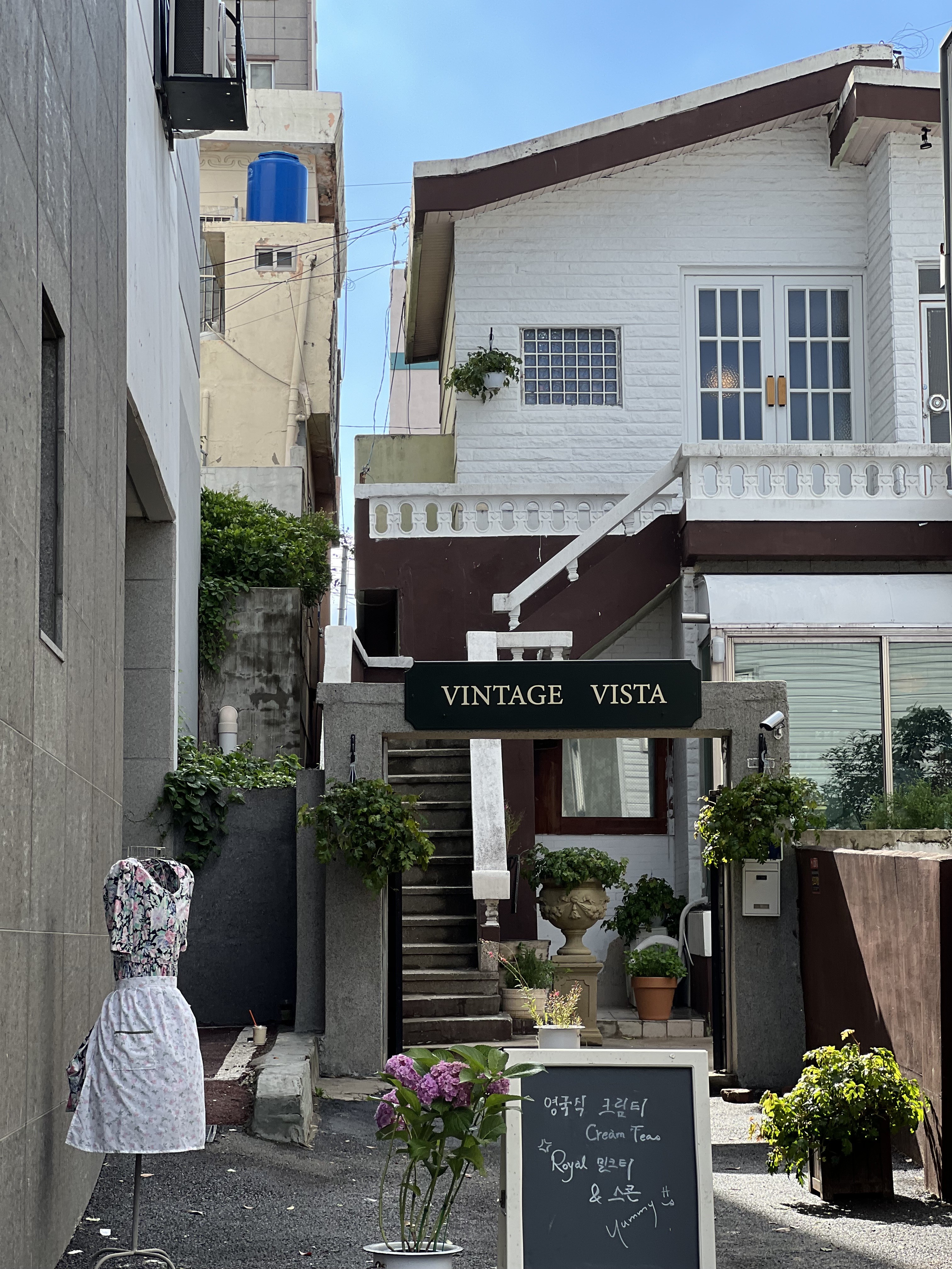 빈티지비스타 부산 사진 2