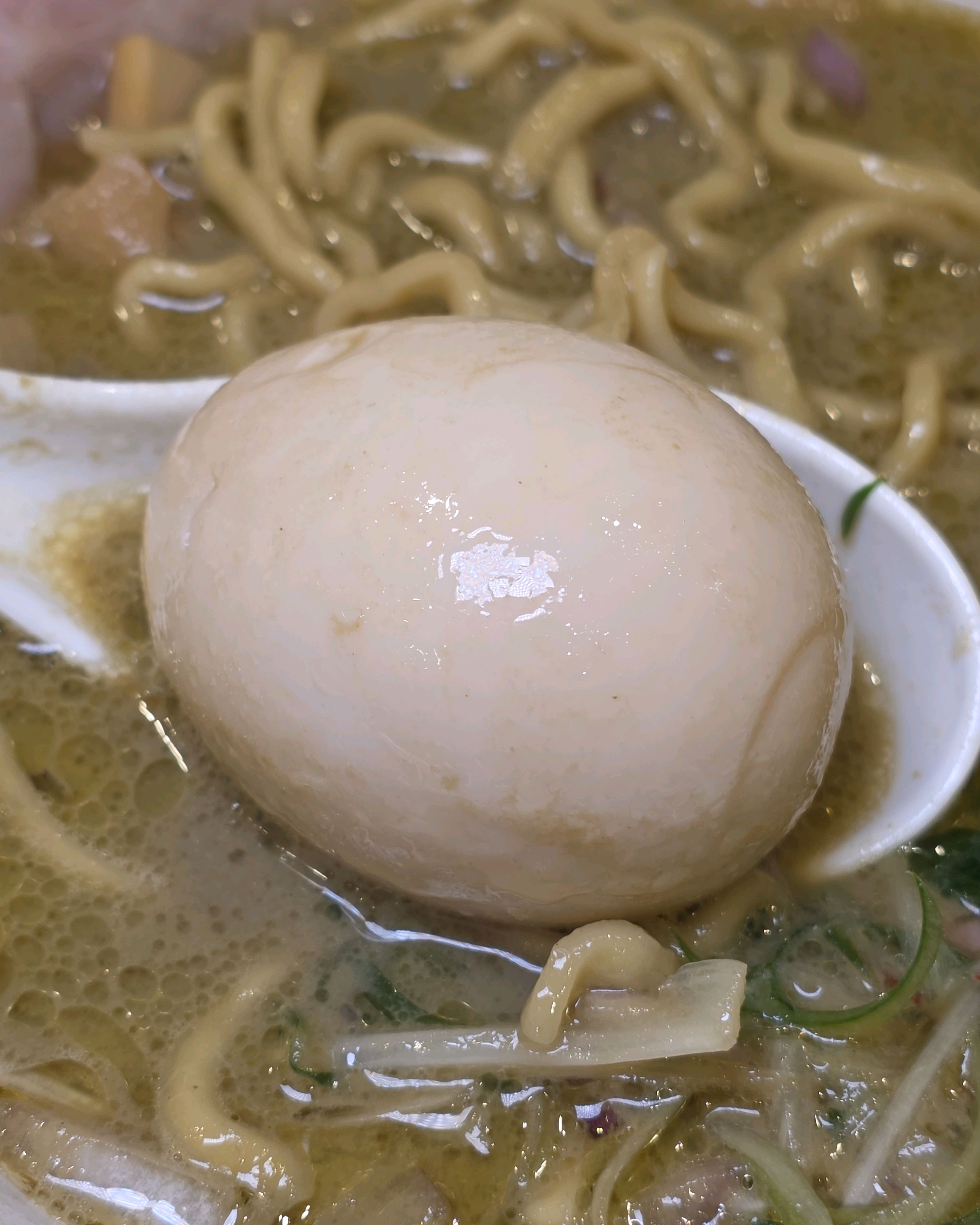 카키 코우죠 사진 5