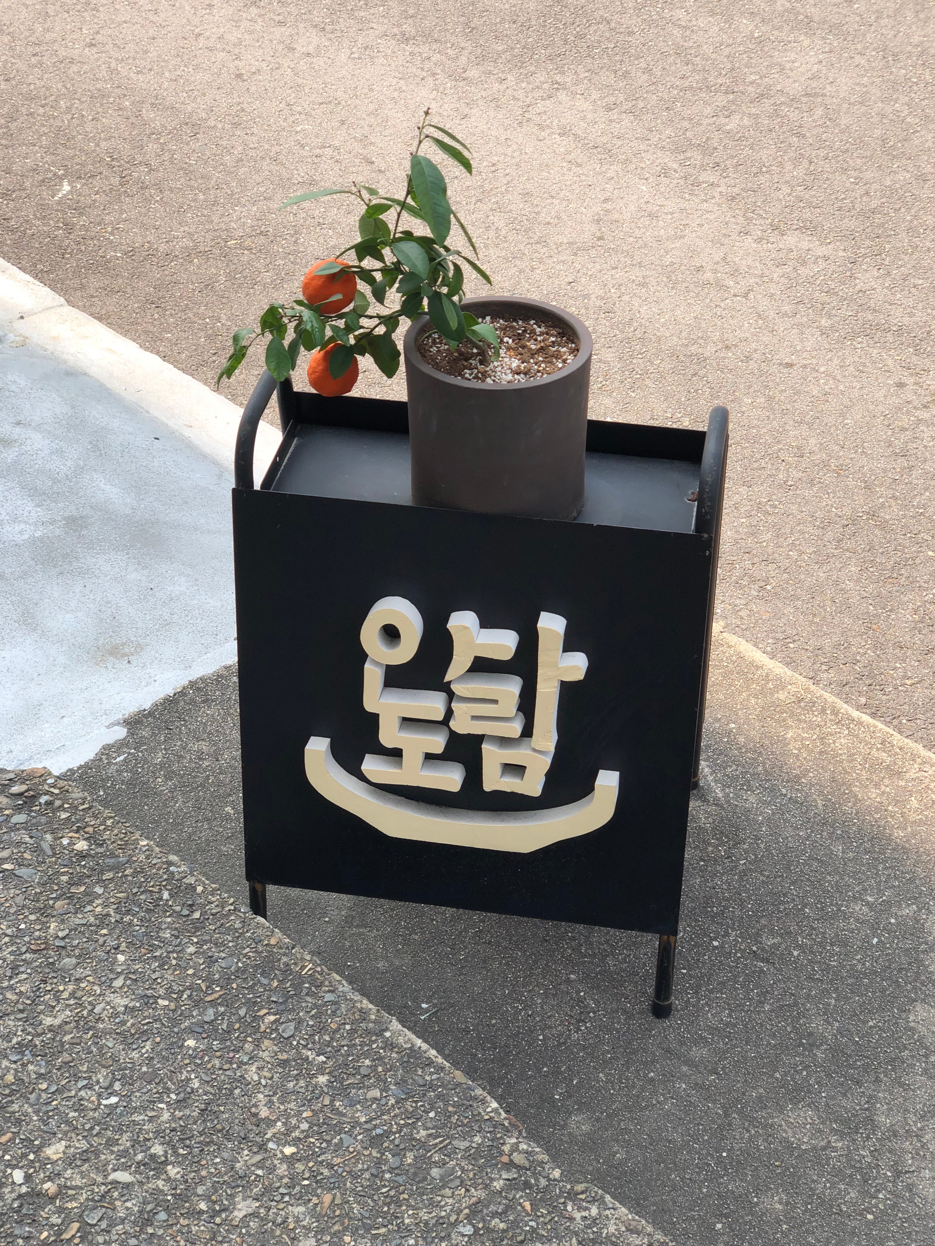 안도살림 사진 4