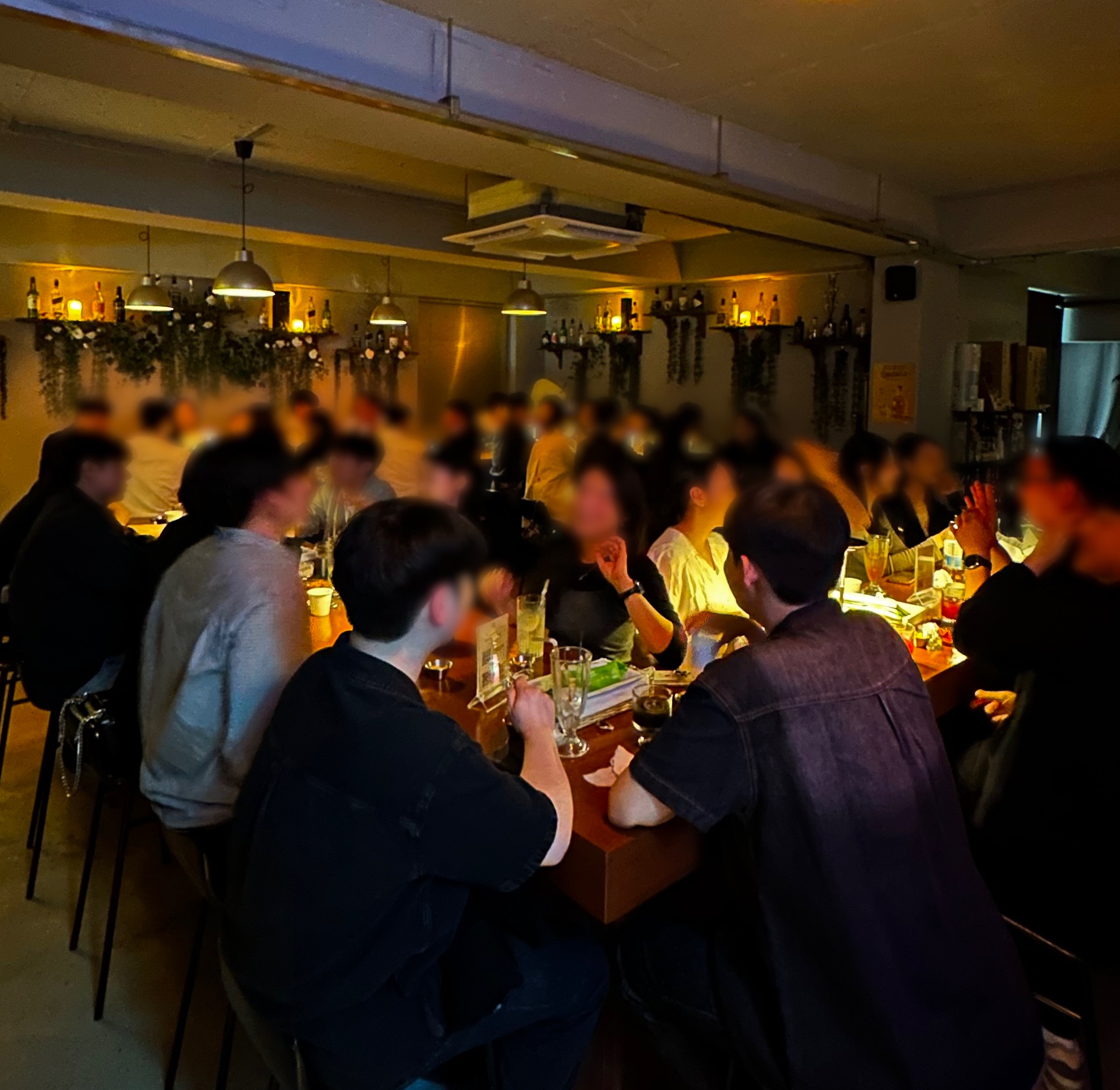 제주아홉 혼술바 서울 강남점 사진 1