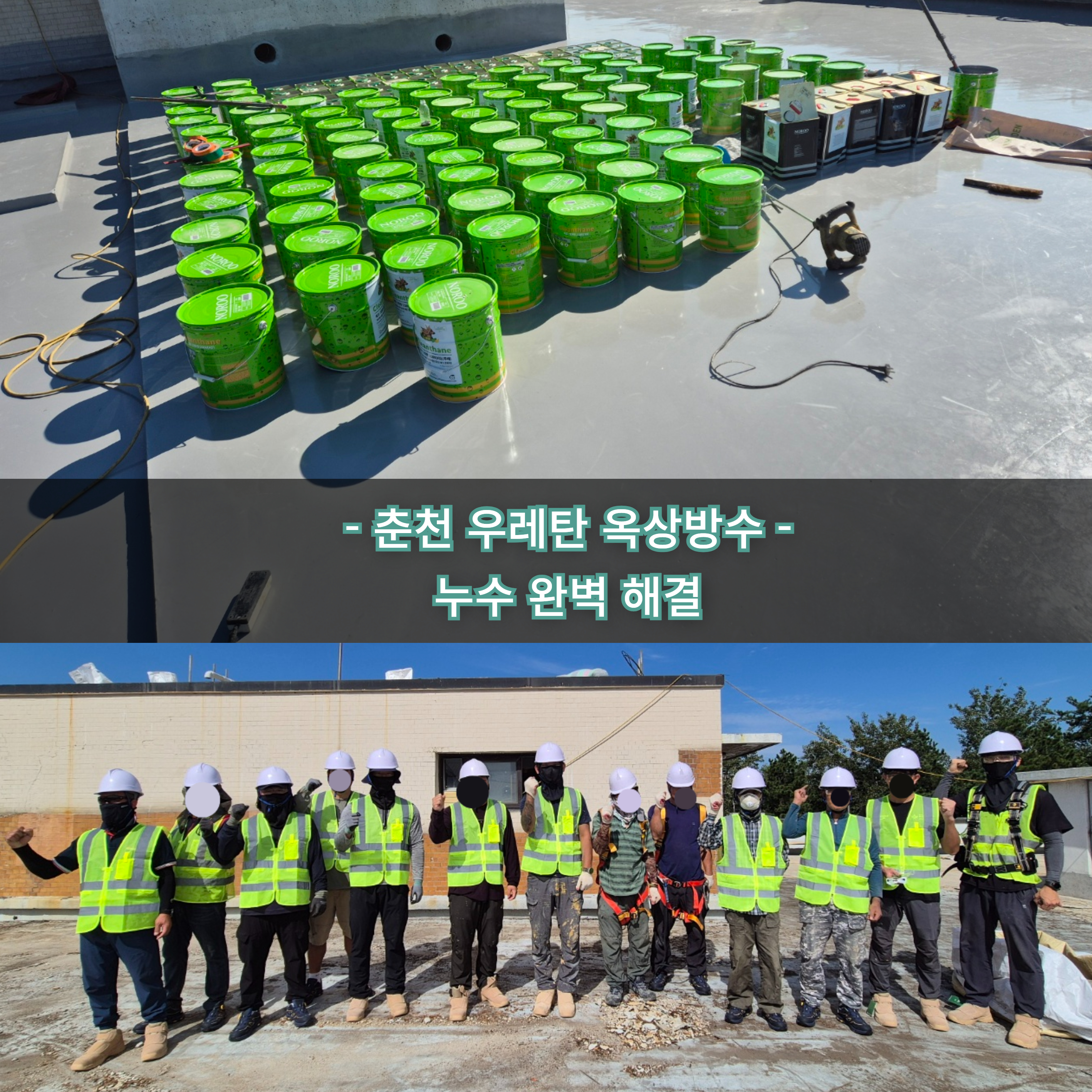 담담 사진