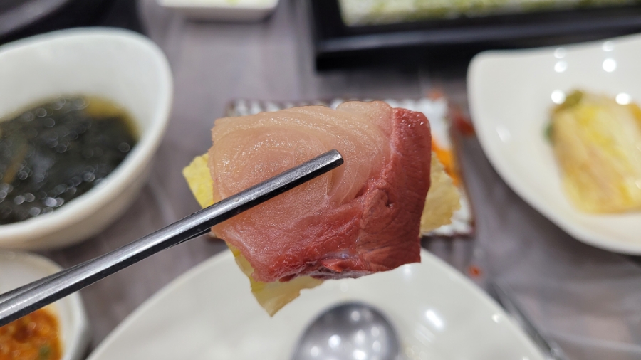 바다회사랑 사진 5