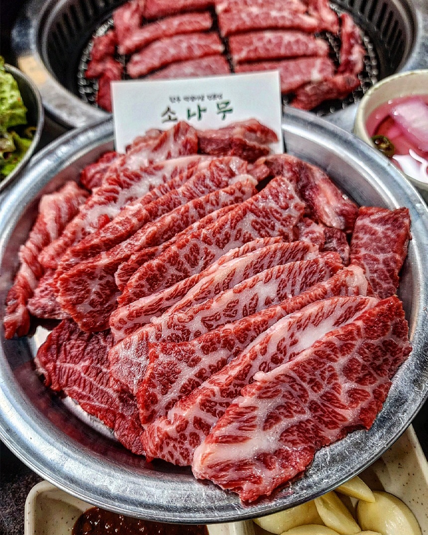 소나무 사진 1