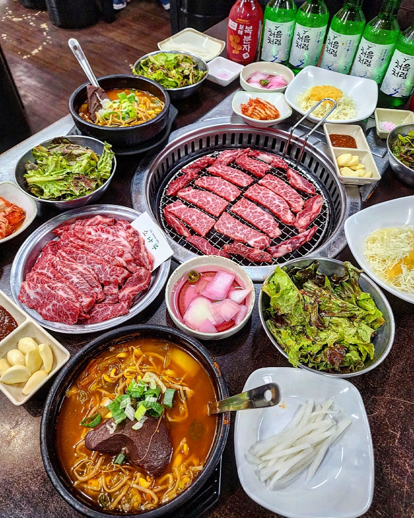 소나무 사진 3