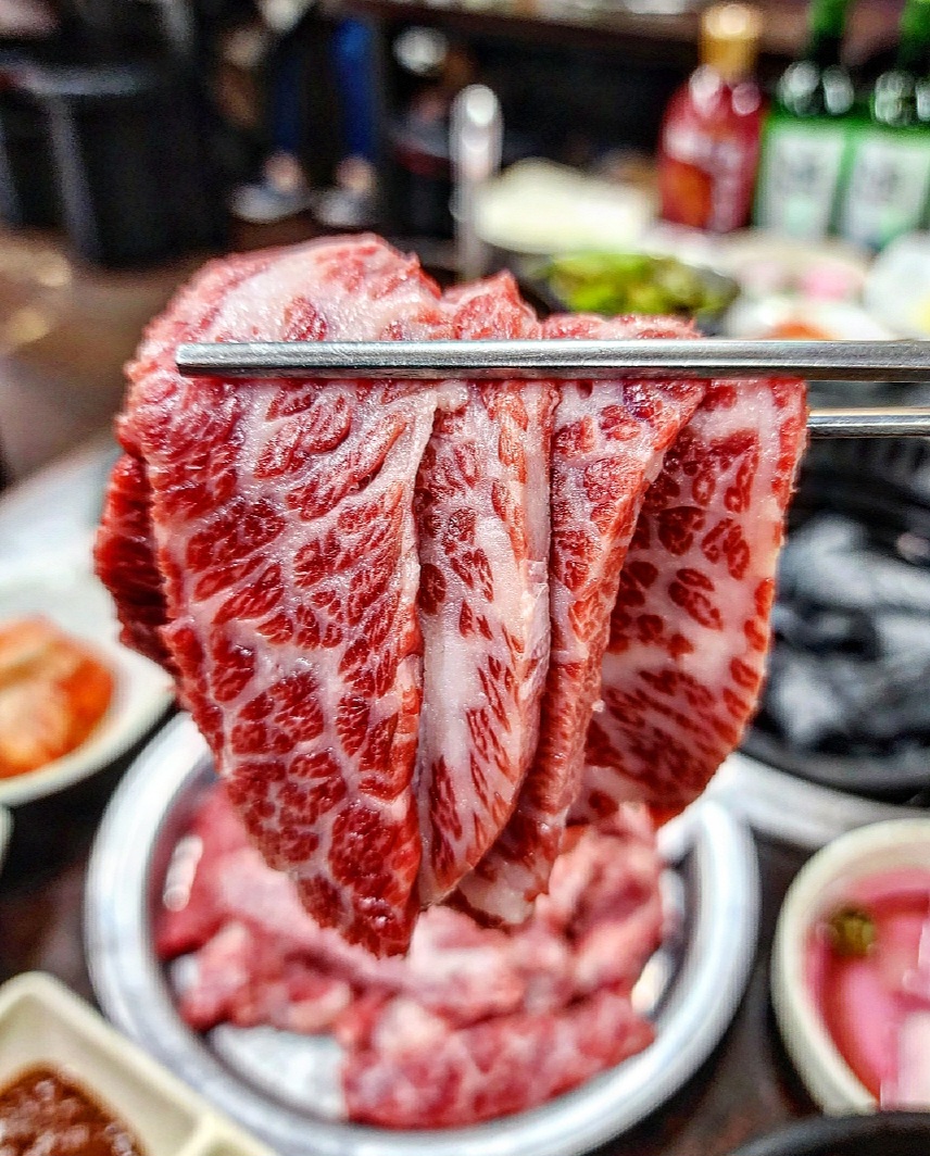 소나무 사진 4