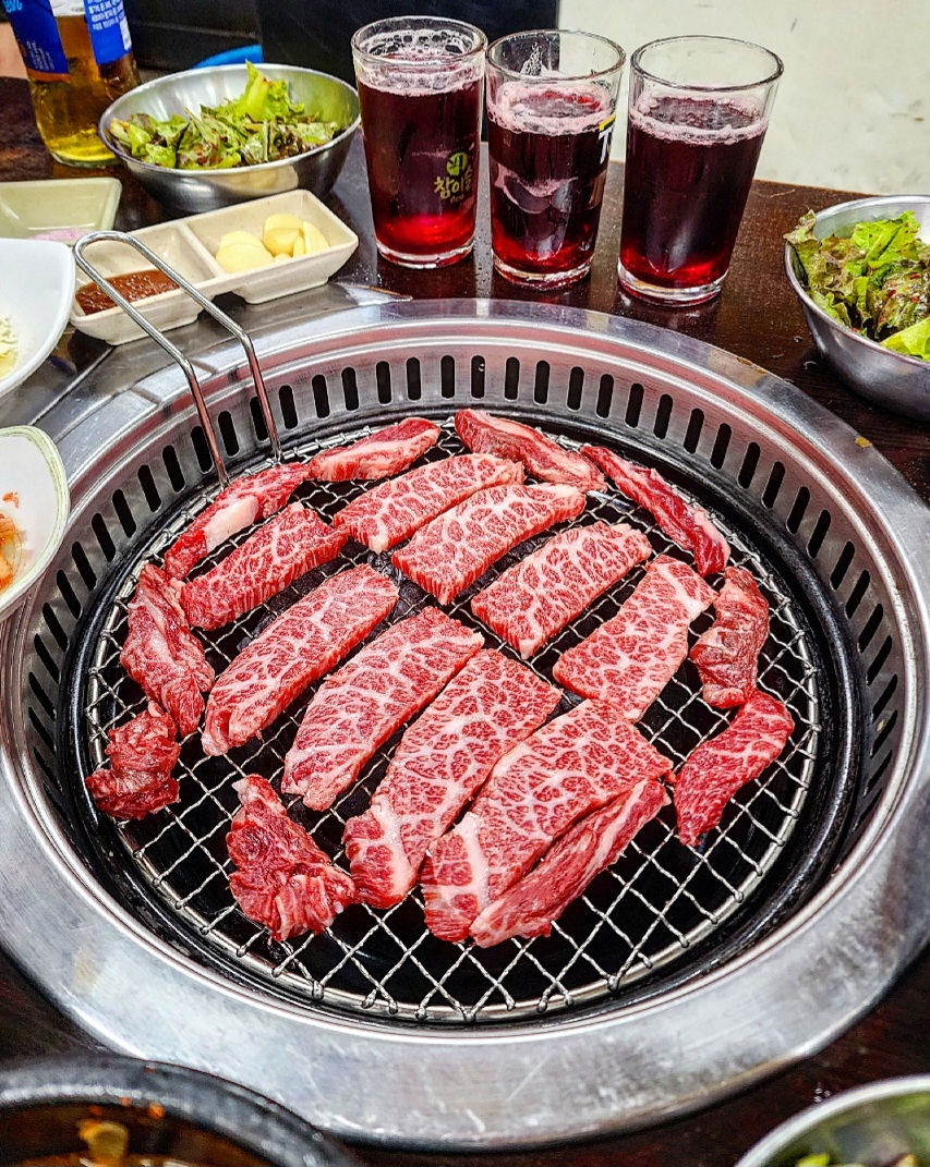 소나무 사진 5