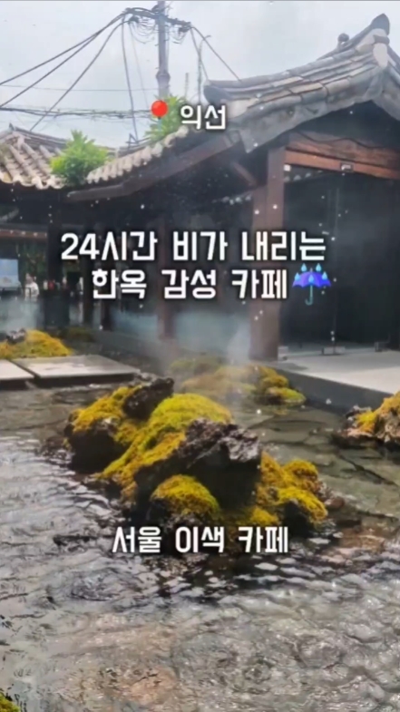 레인리포트 레인보우 사진 2